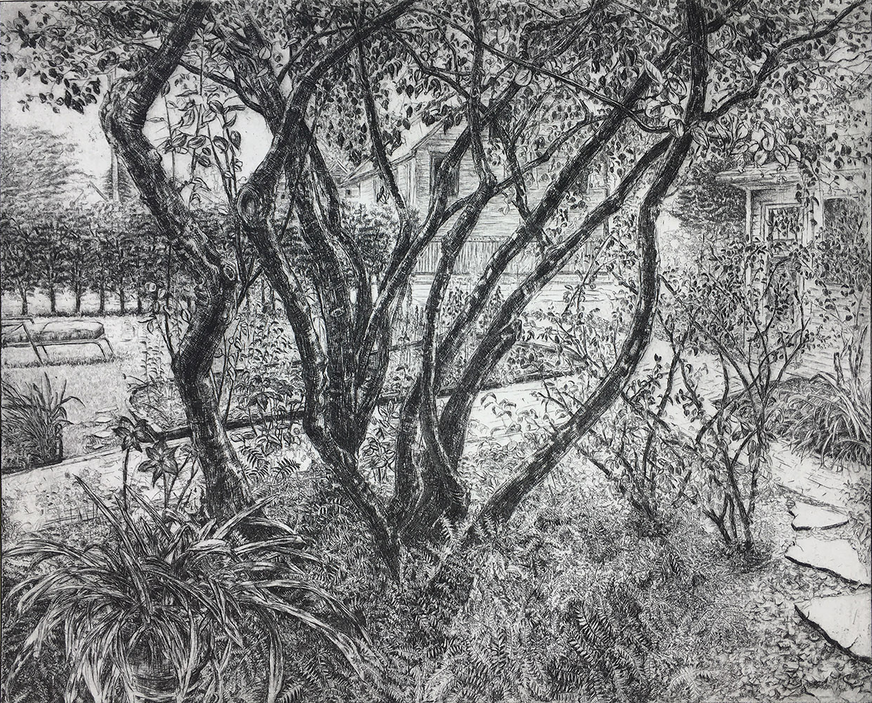 Serviceberry Tree, 2018, Etching, 16” x 20