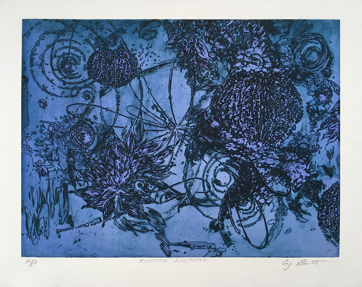  Microcosms Blue/Purple, 2005, Viscosity Etching, 22 x 30 