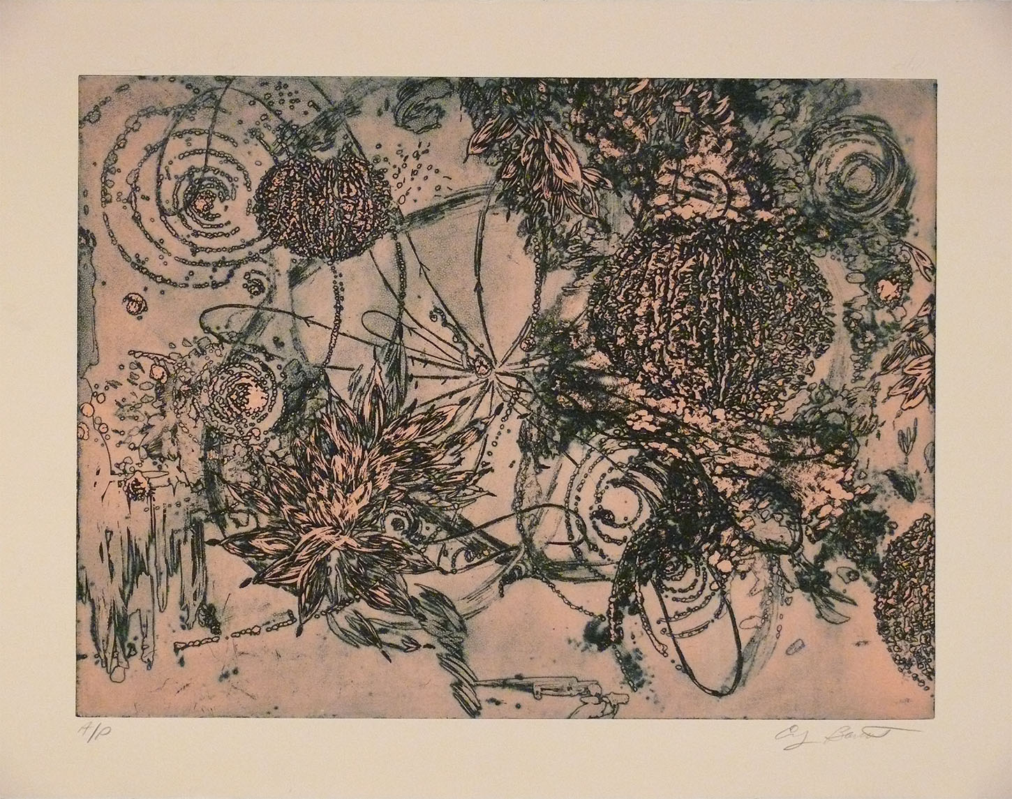  Microcosms, Pink, 2005, Viscosity Etching, 22 x 30 