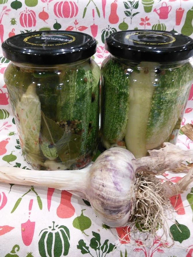Dill pickles with garlic.
