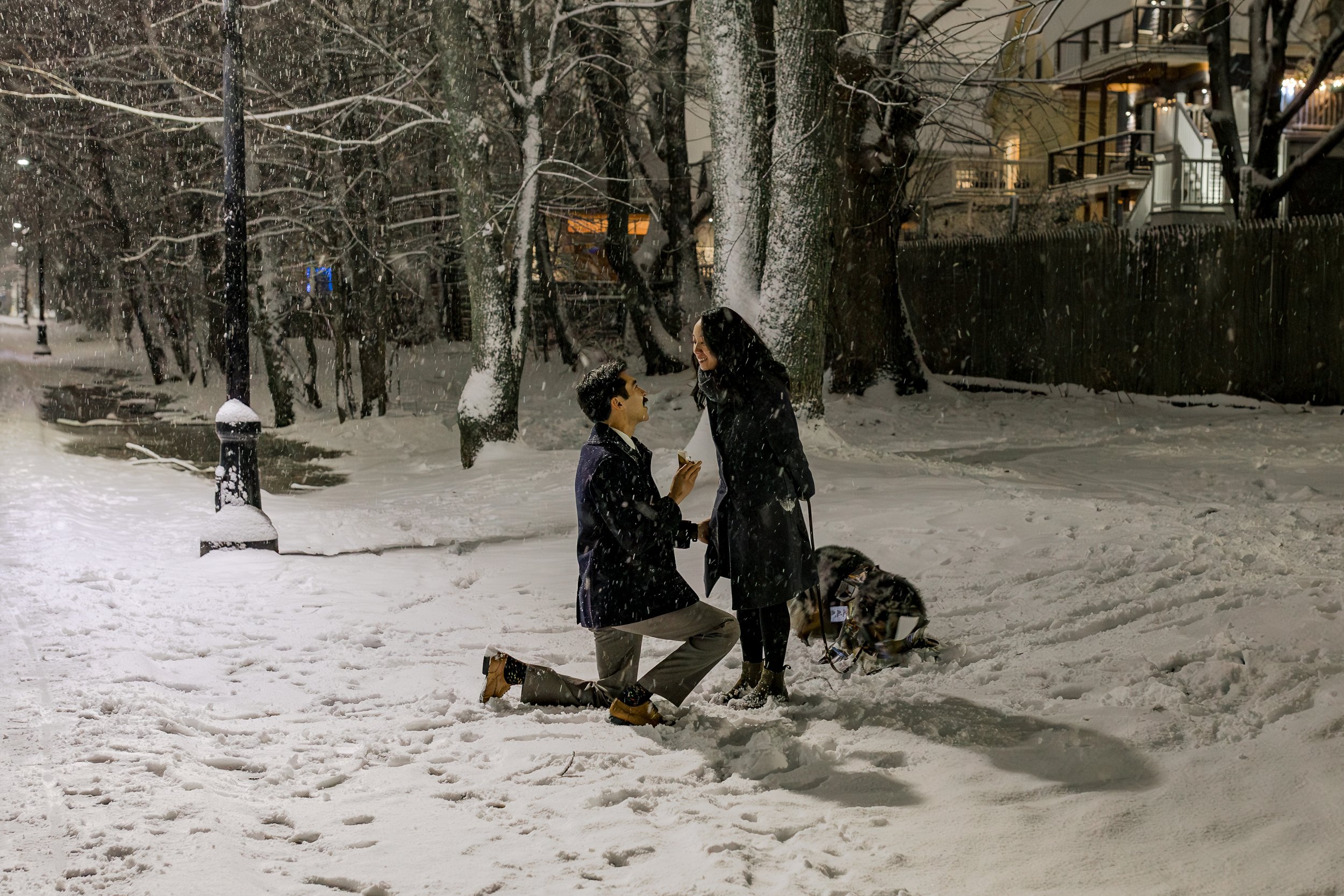 7V4A7489-Enhanced-NR.jpg