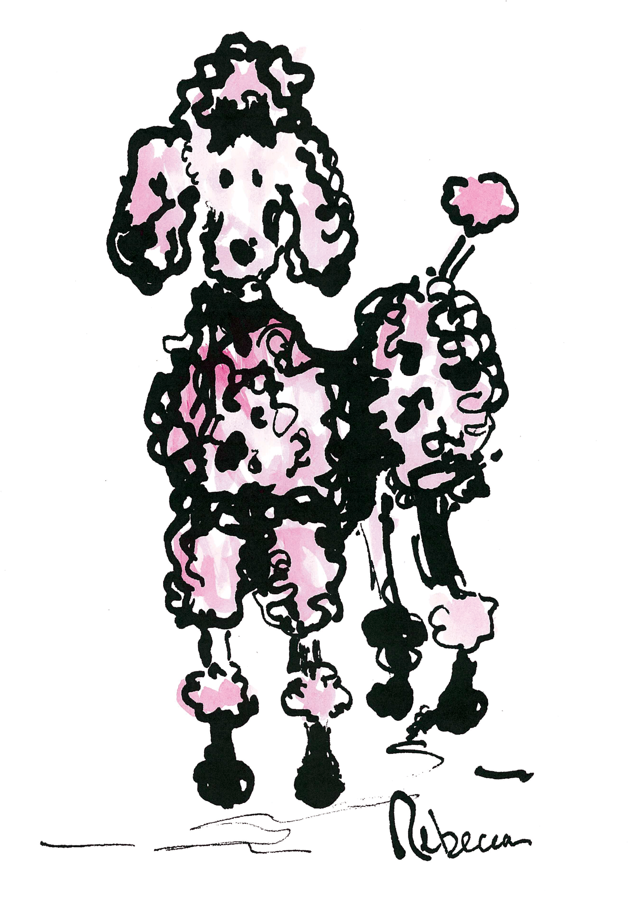 Fifi