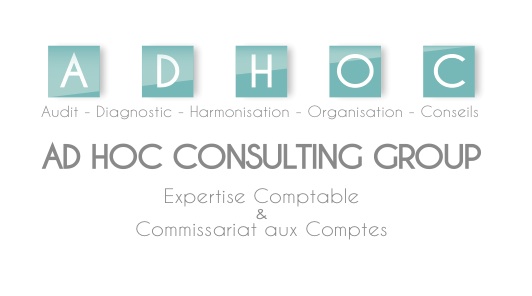 logo 2012 A D H O C.jpg