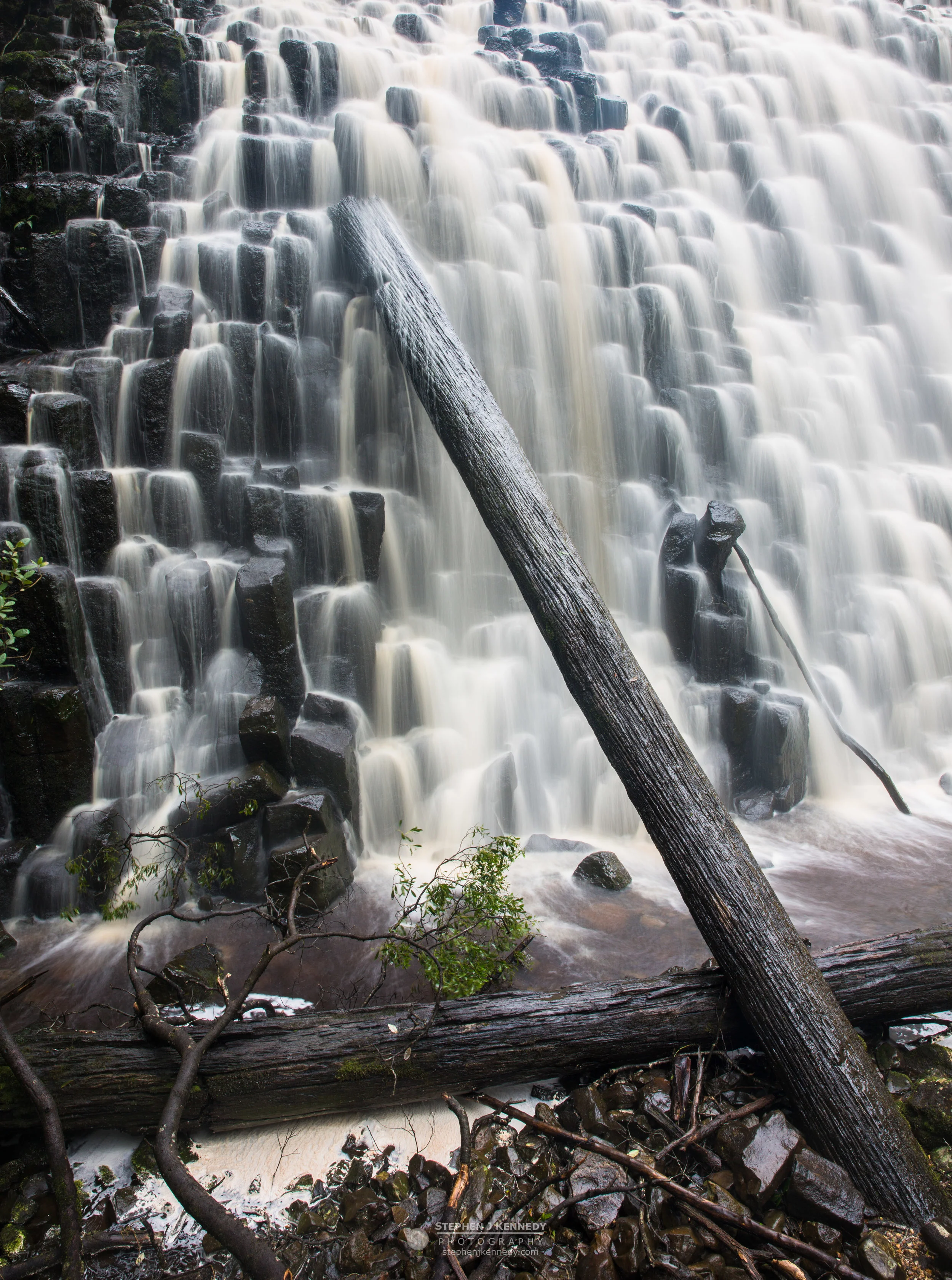 Dip Falls Portrait, Tasmania
