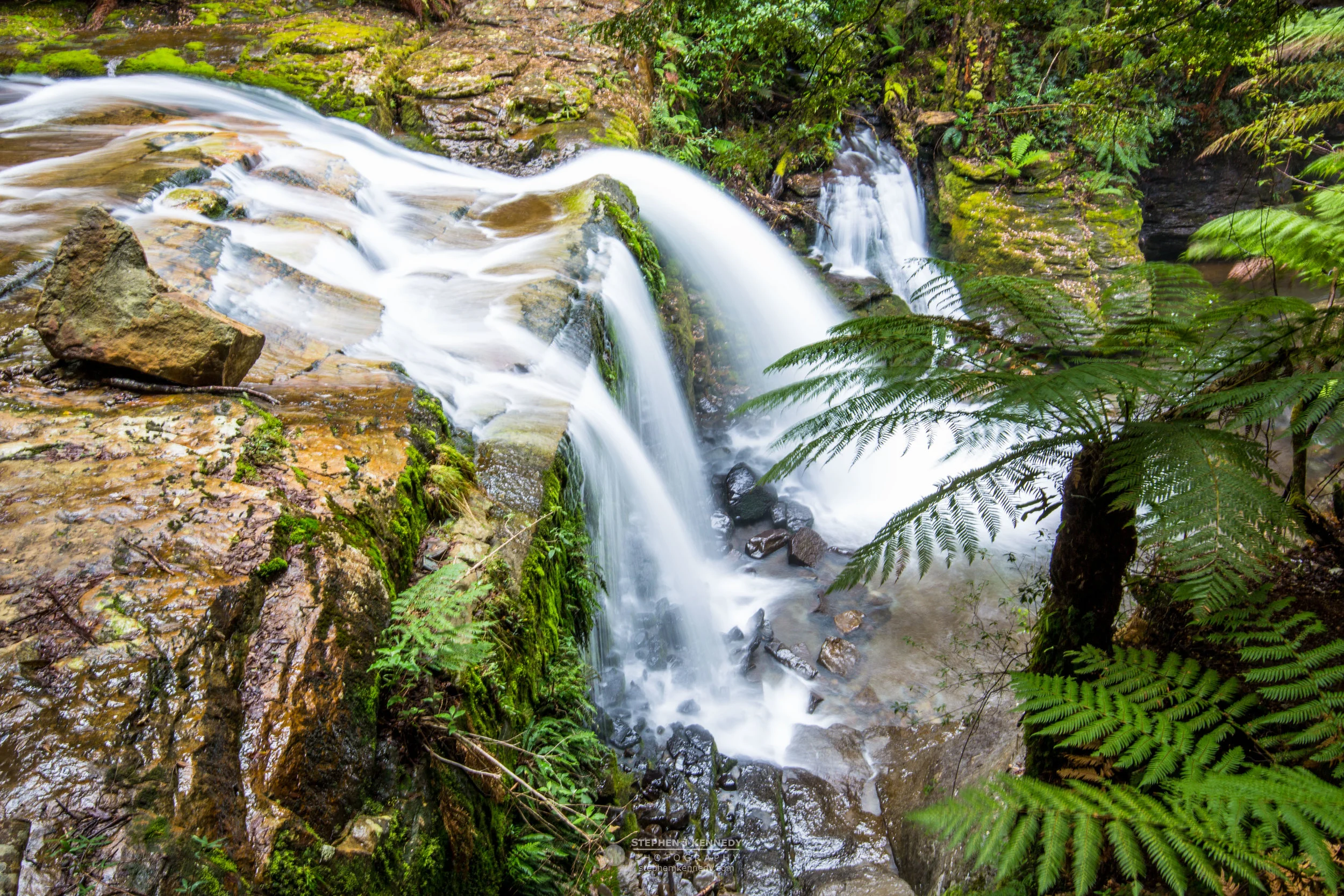 Liffey Falls, Tasmania
