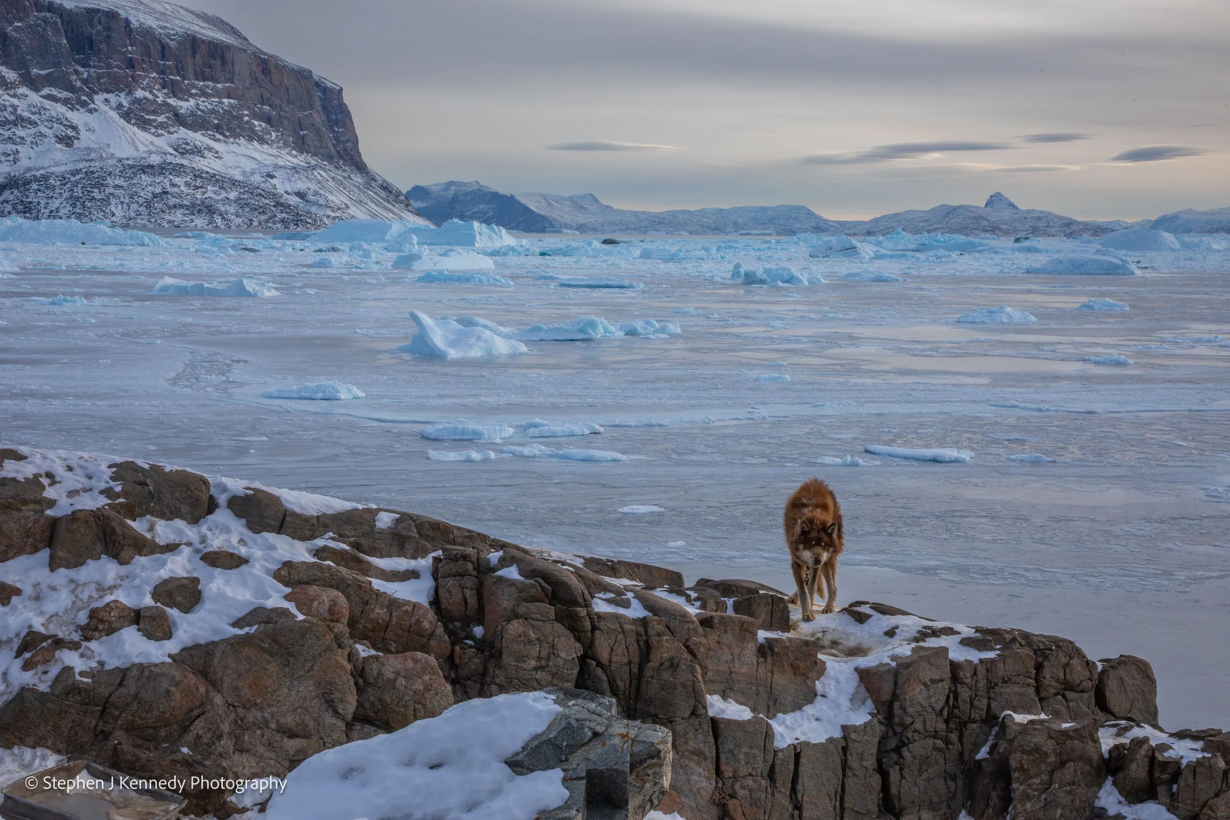 Greenland: A Montage