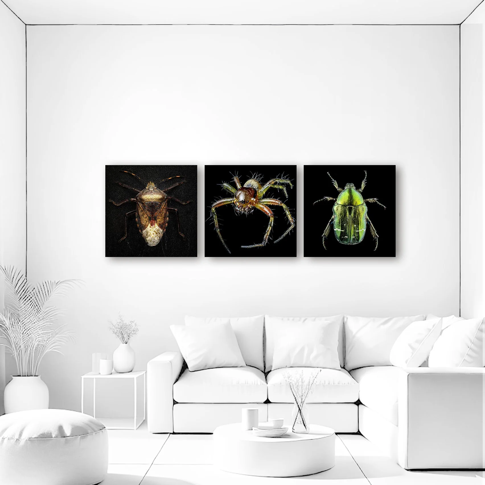 Art-Set-BUGS COMP.jpg