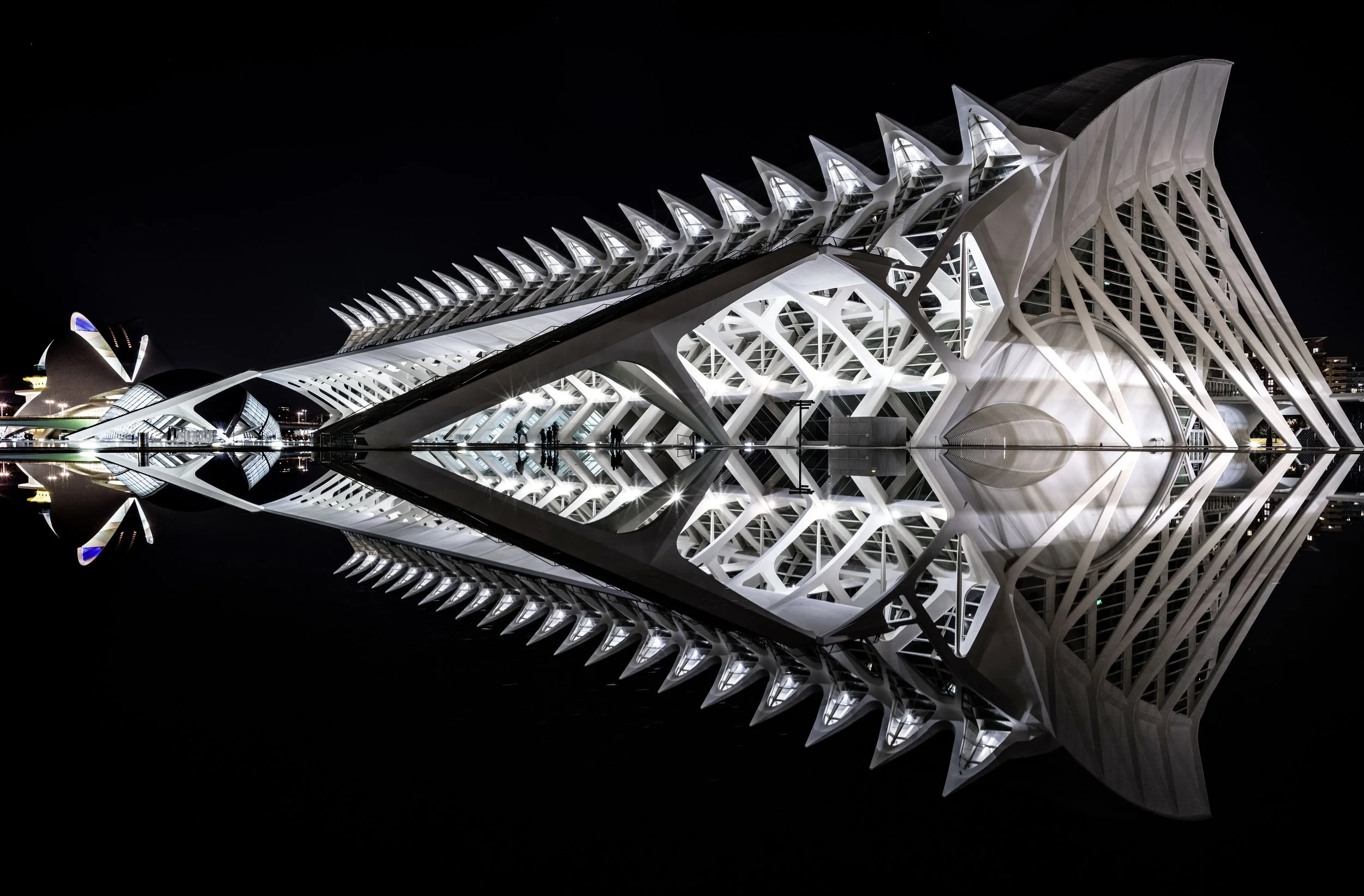 Art-Set VLC-0002a.jpg