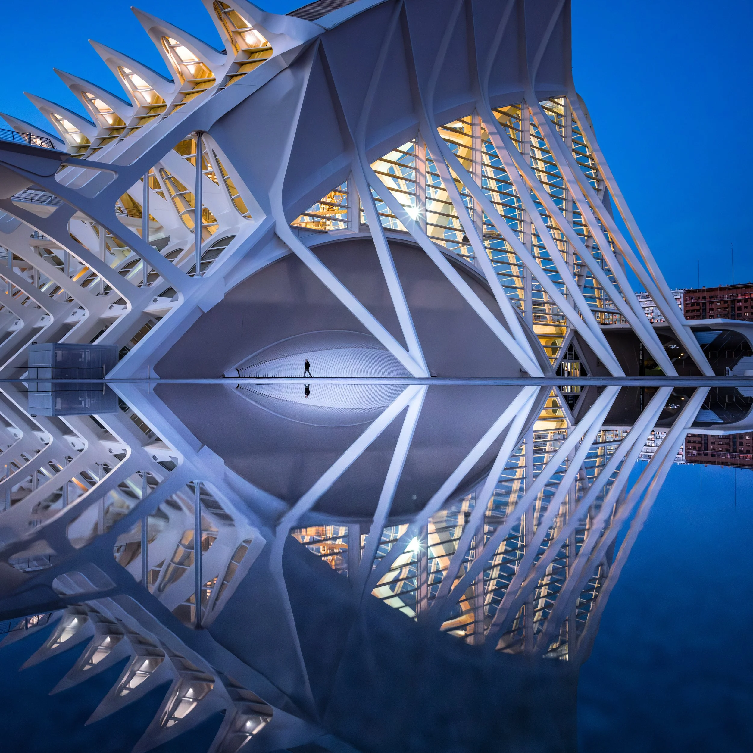 VLC-quadrat-0002.jpg
