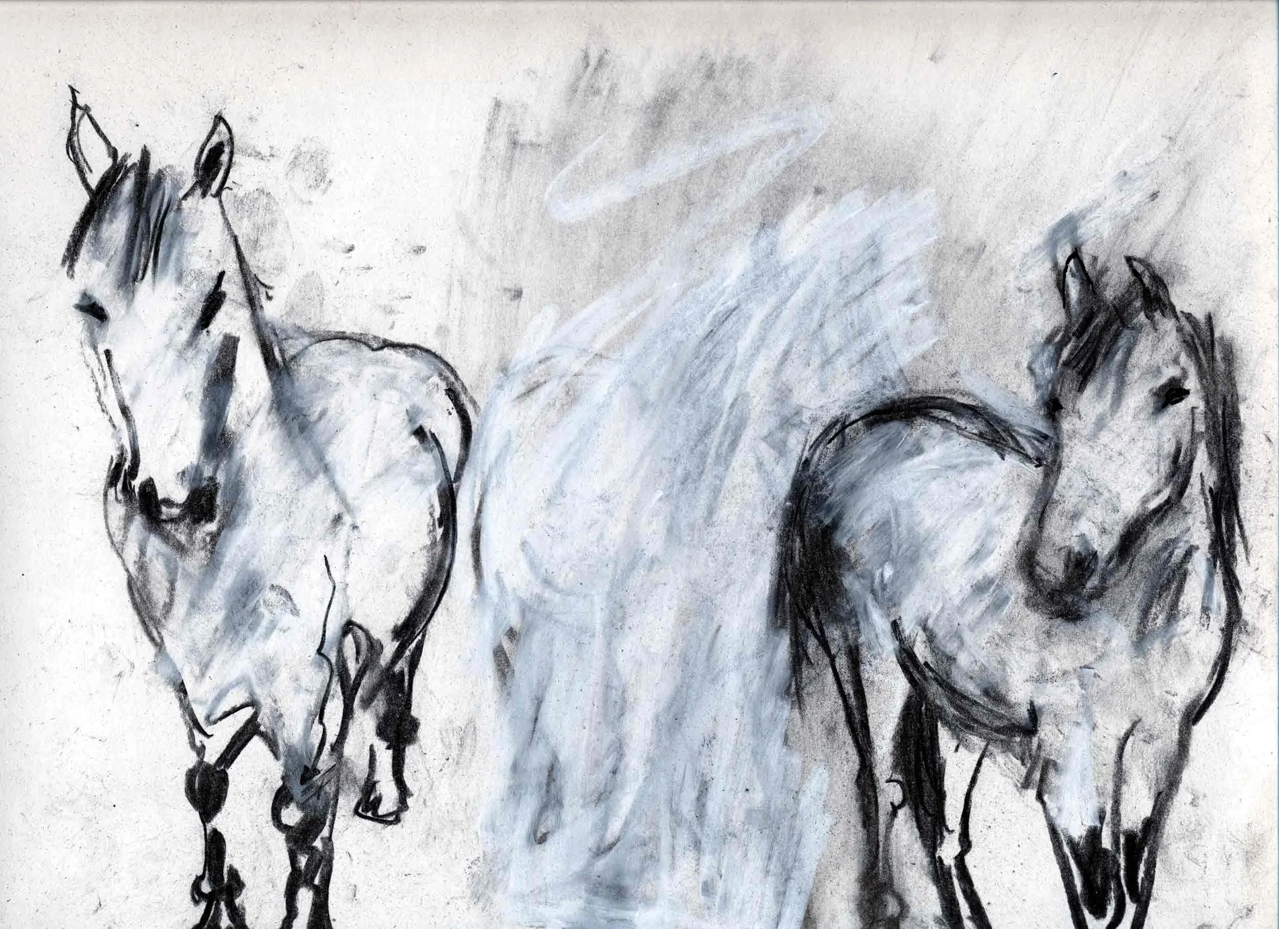 charcoal2.jpg