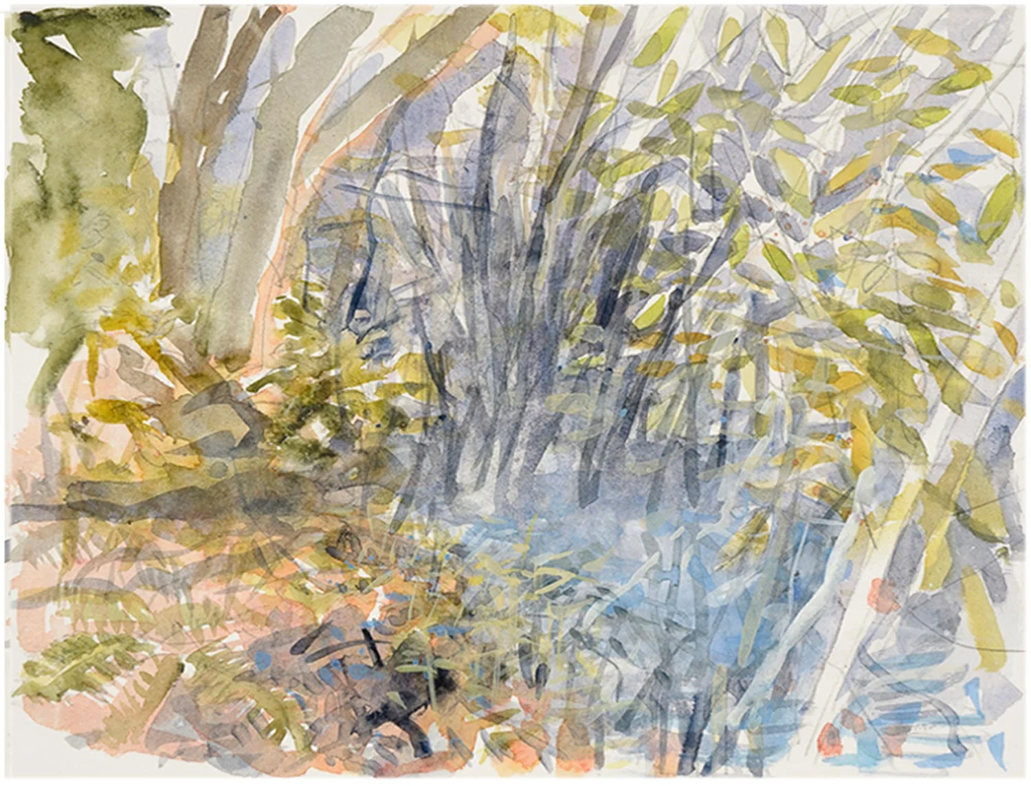 Ballynahinch Woods (watercolour).jpg