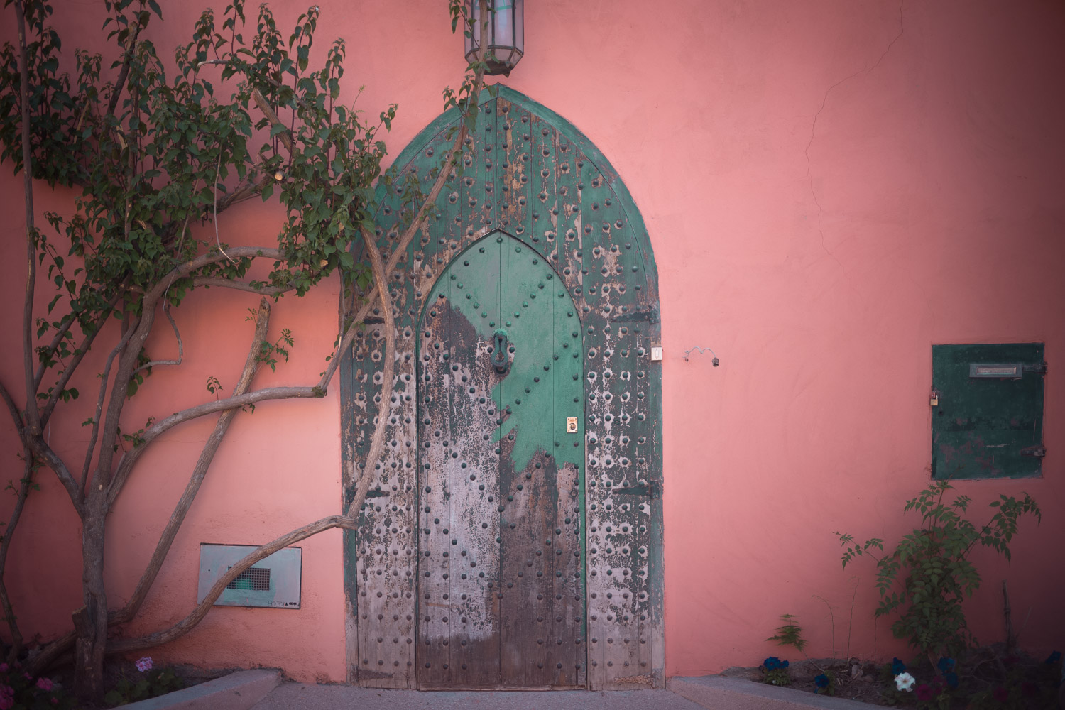 Sheda Special | Private