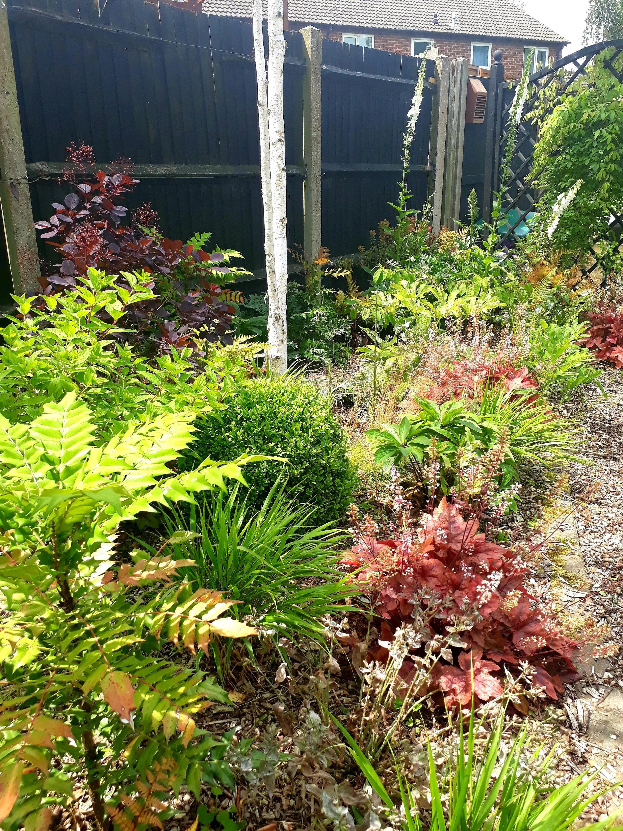 20180617_130059.jpg