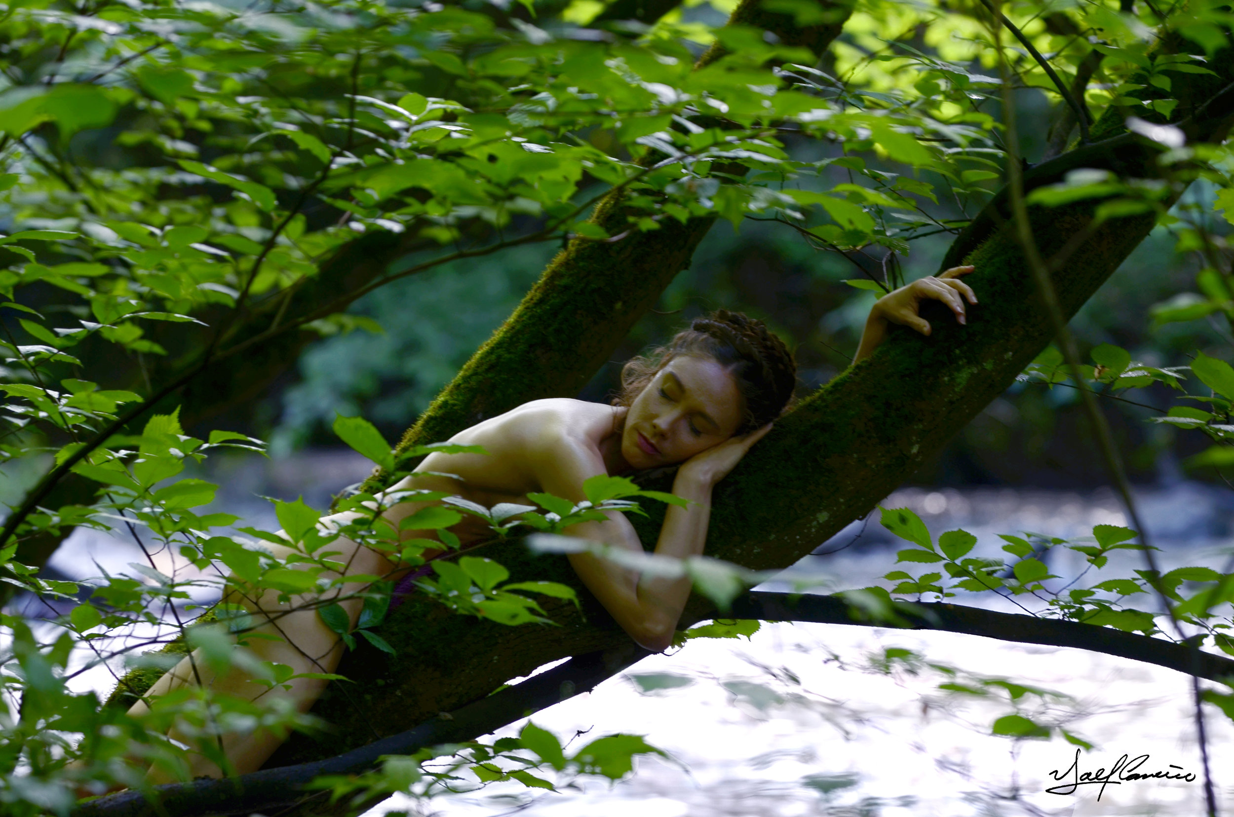 DSC_4987 firmada.jpg