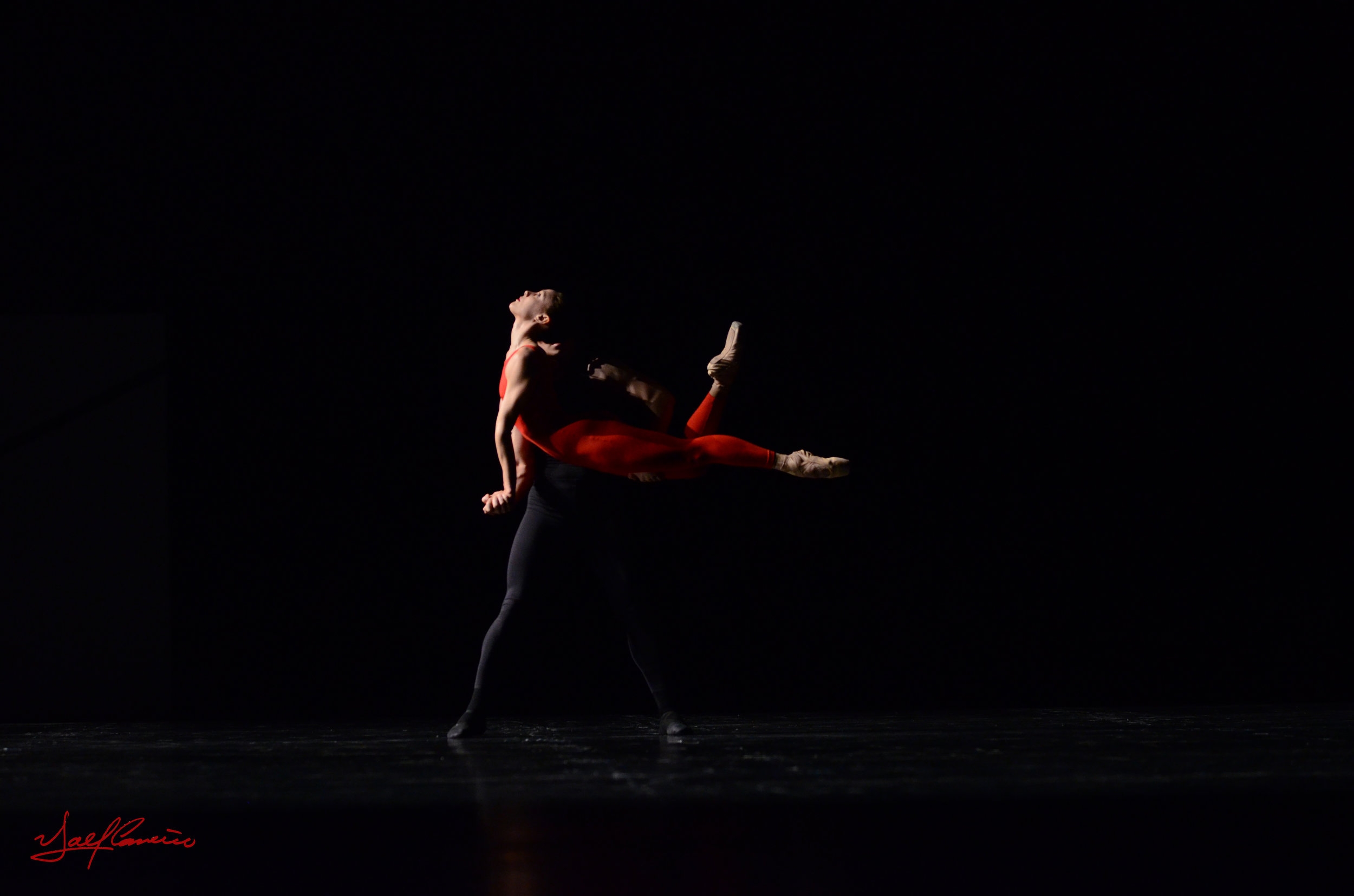 DSC_0849 firmada.jpg