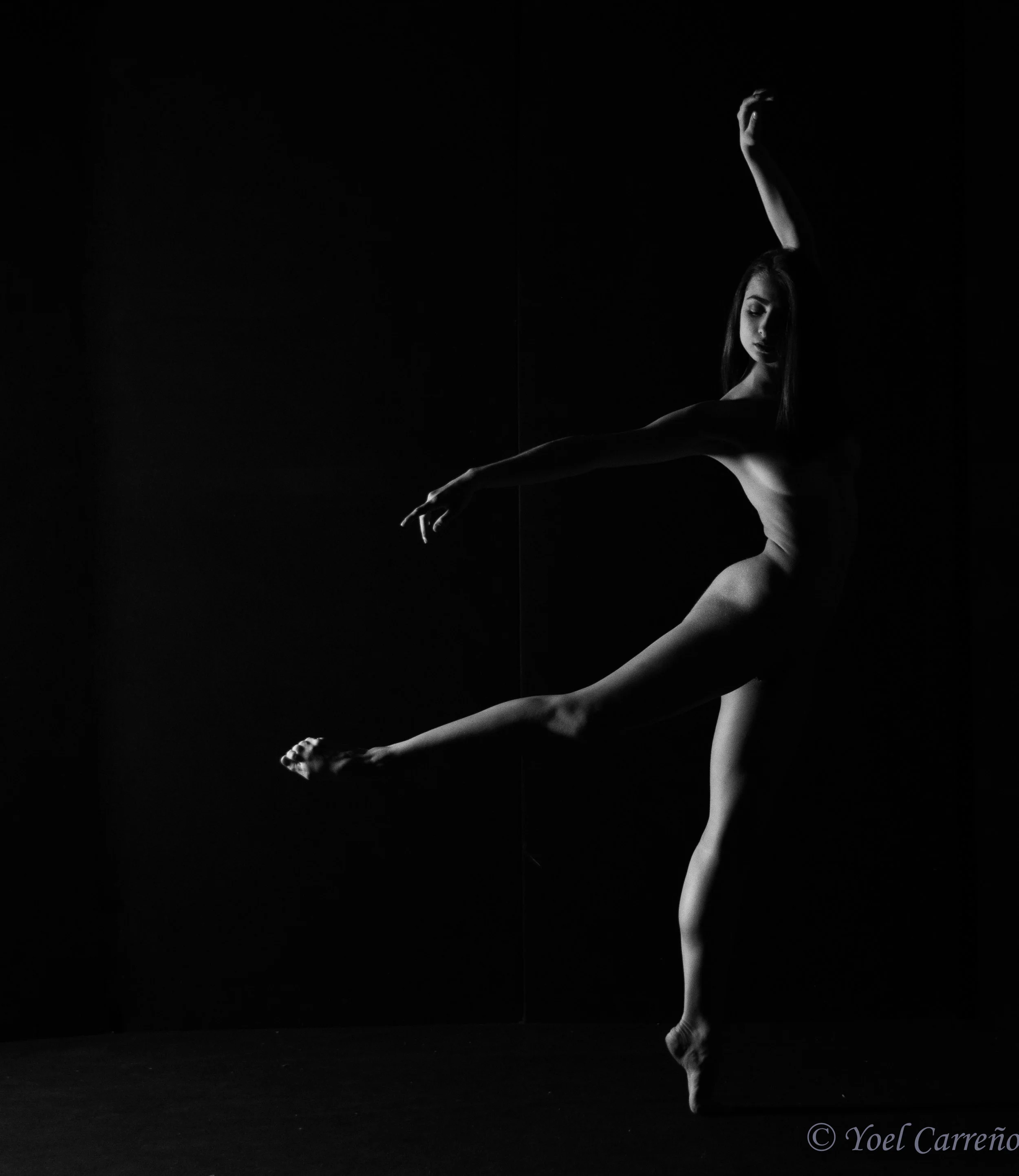 Ballerina silhouette...
