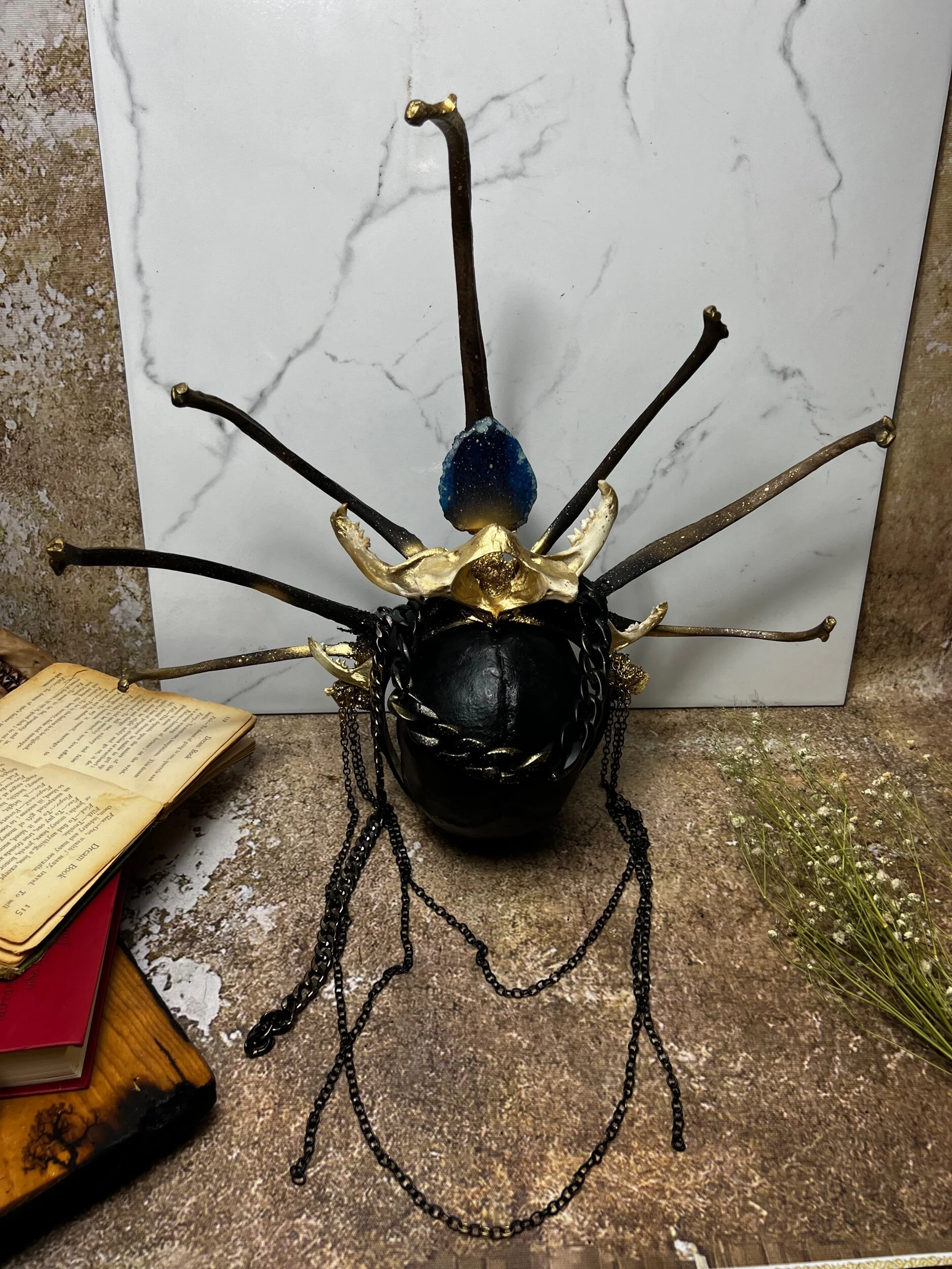 92F96952-1B9B-49BC-BA26-EB31E7DE9616