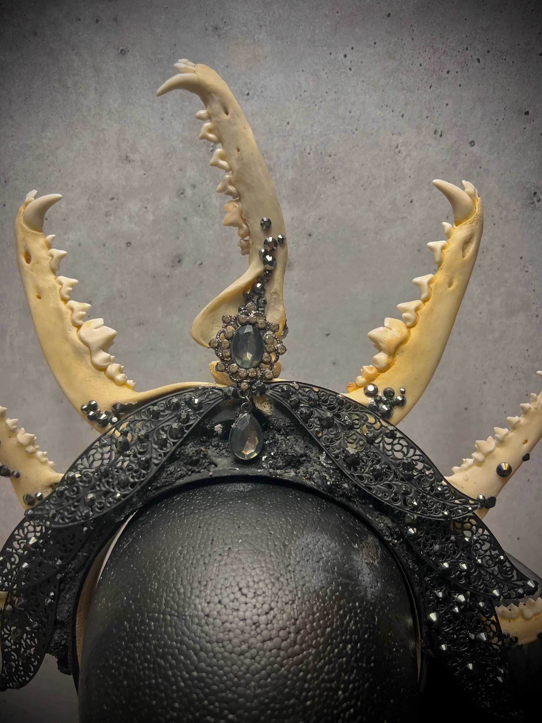 1BCF3334-D8C6-4FEC-8DBD-DDD7CE34068F