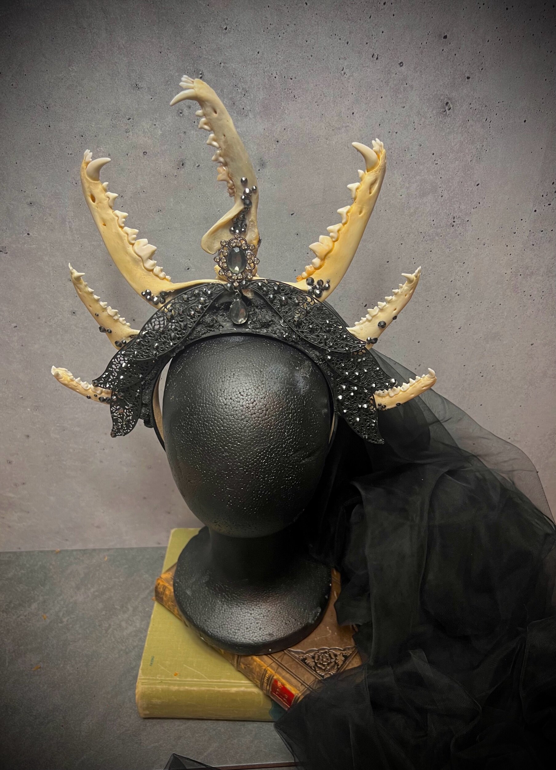 7430BDDF-30FE-4AC4-A89B-9027627C79DE