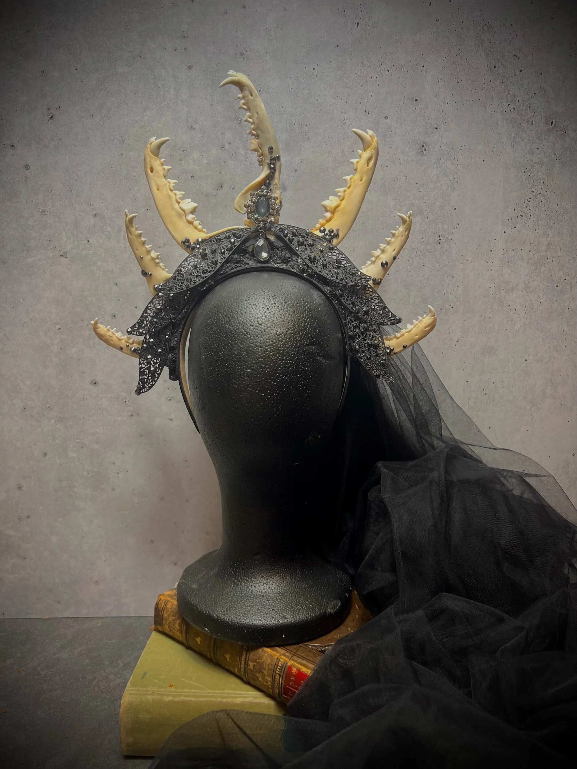 FC1EF35F-18B2-4D70-9AB7-25DEECD3BBCC