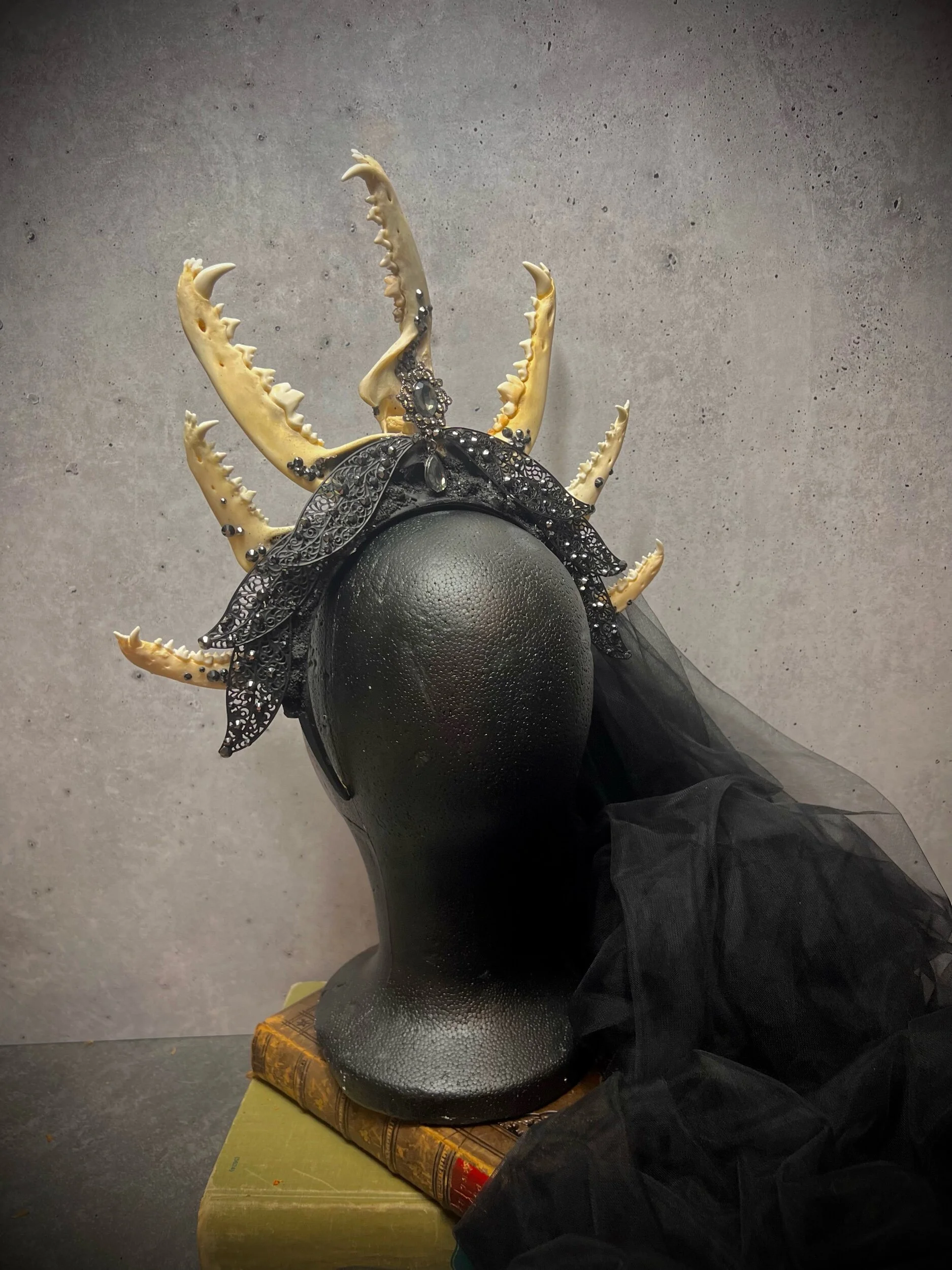 2B134EDD-B658-4A7B-945C-DC5FB85B041D