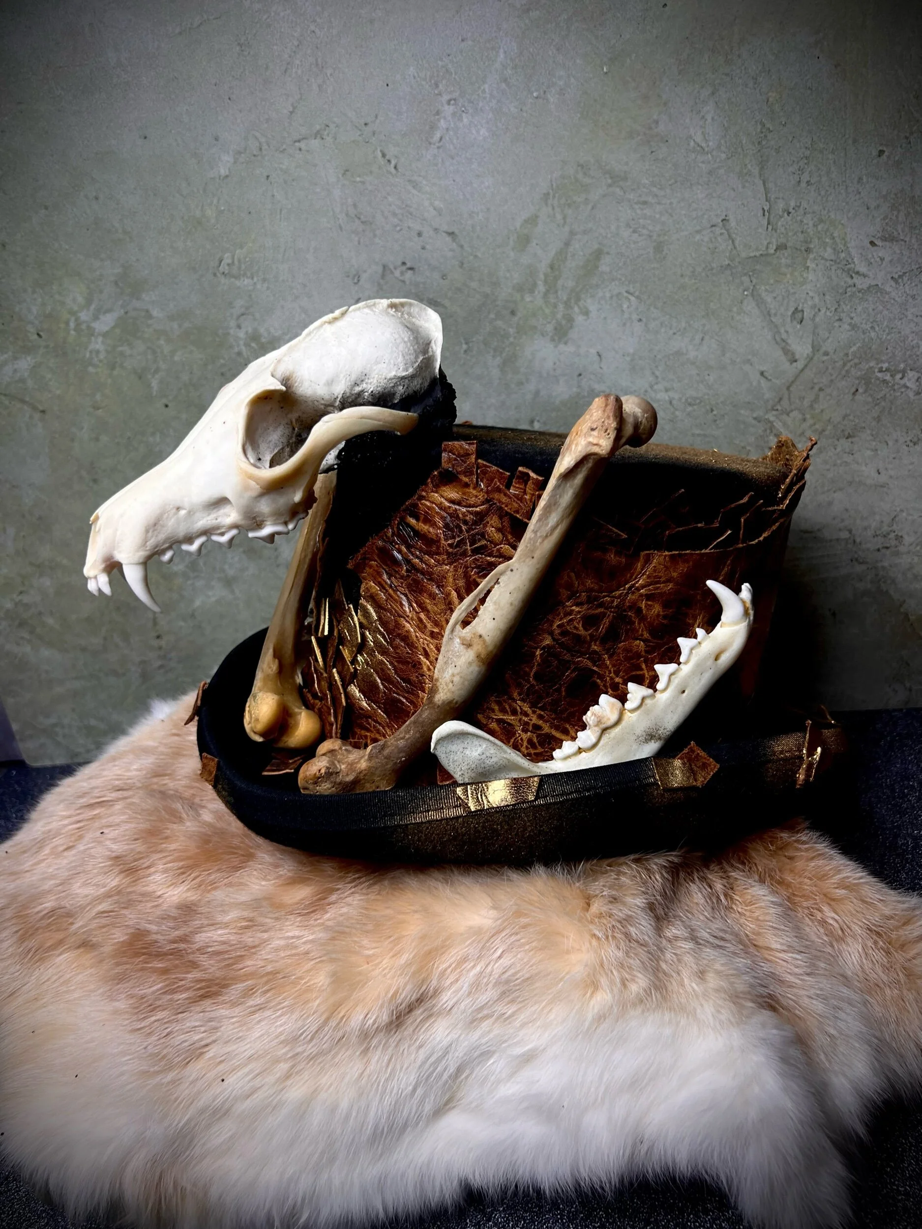 9C123127-95EF-4333-9CF5-F4570D36BFBF