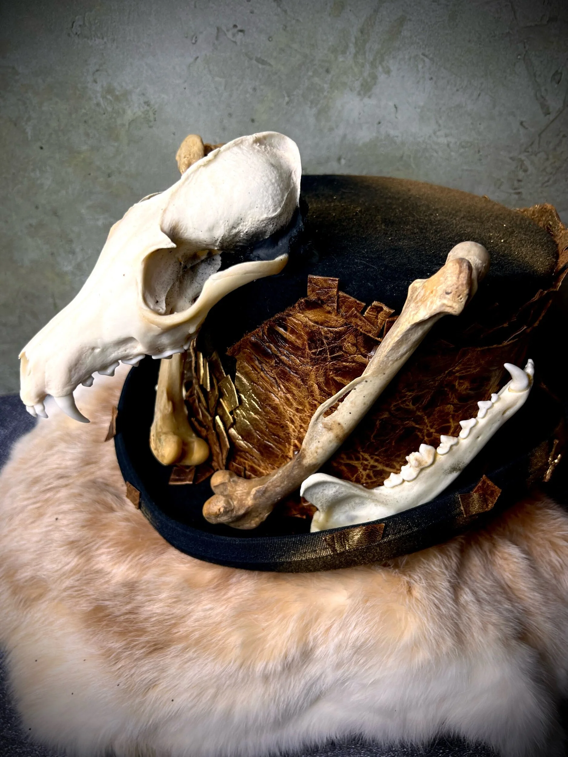 C261DF29-BA0B-4D15-A48C-36F9FE9F9B02