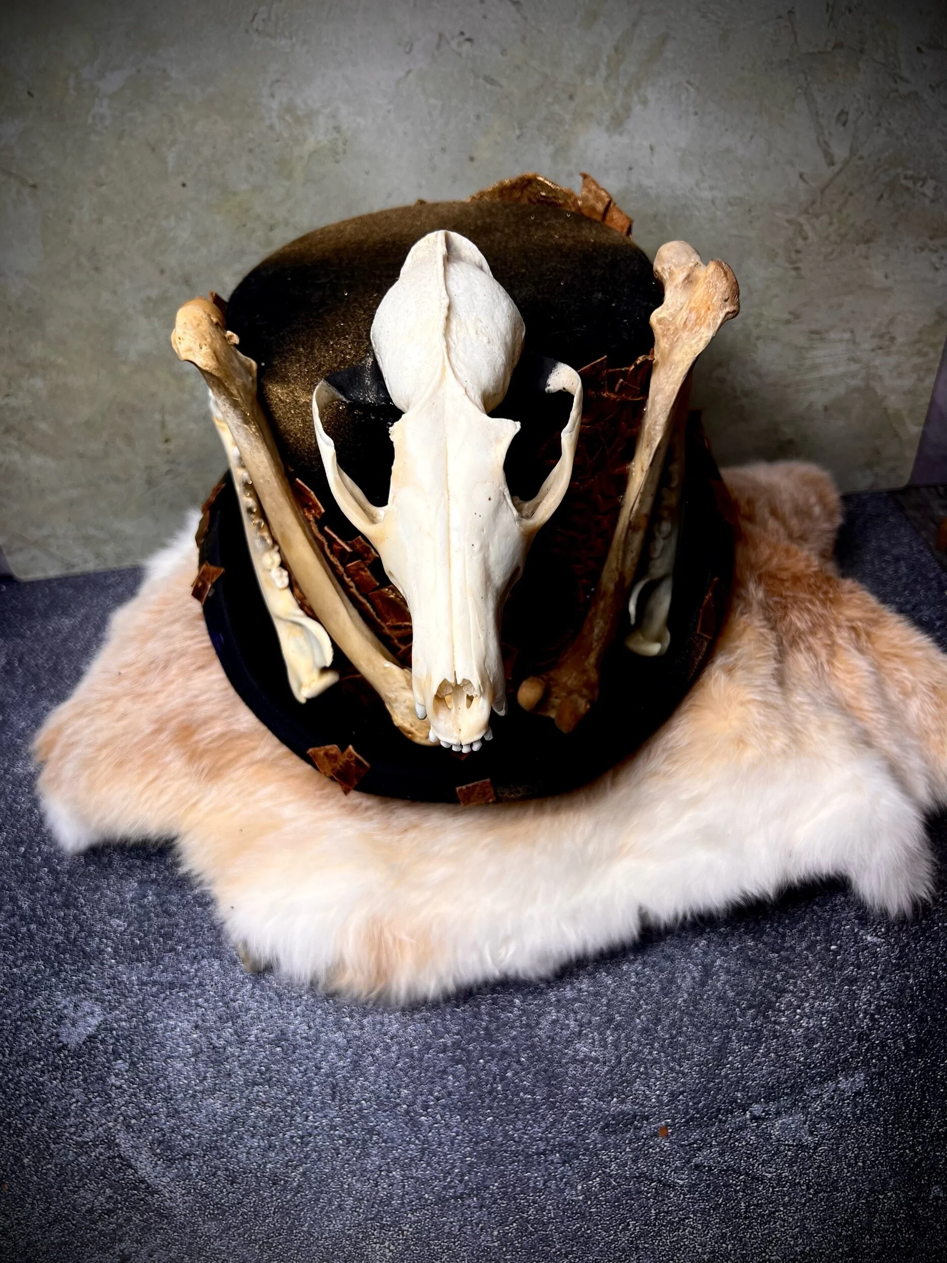 243B3DA9-4C86-45E2-B1AE-DEA2CE9AFEED