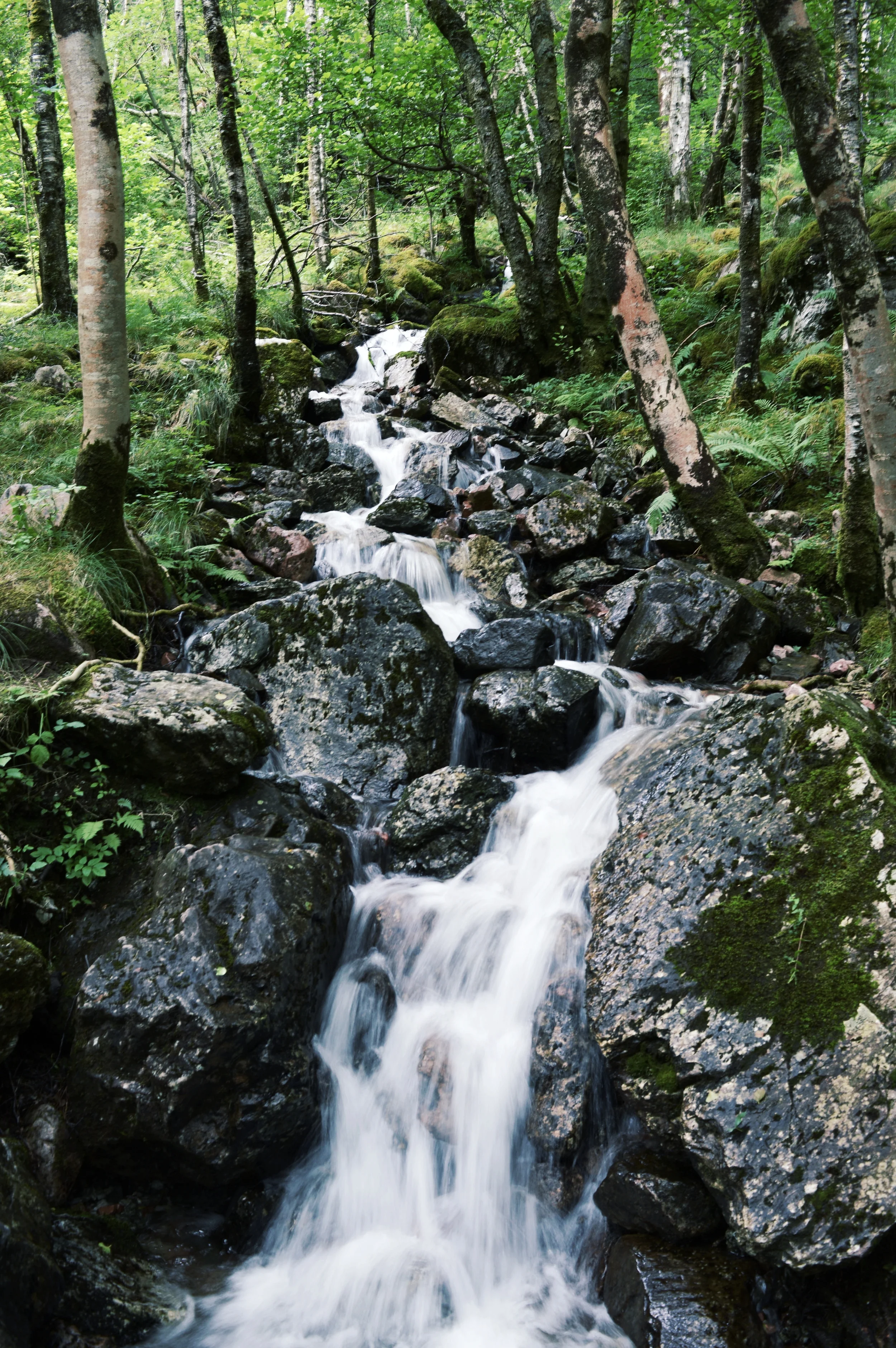 Glen Etive, Fort William