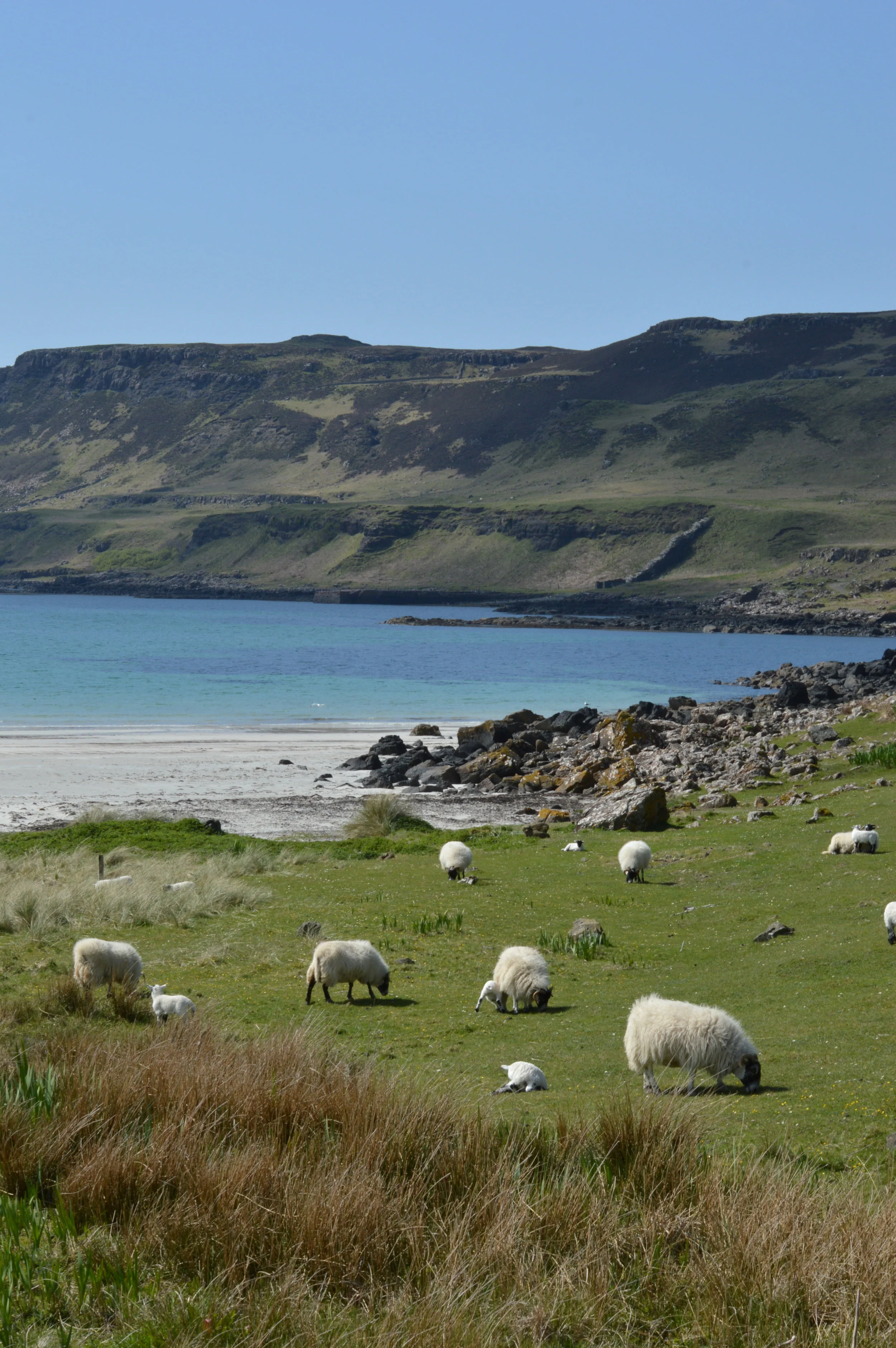 Calgary Bay, Isle of Mull