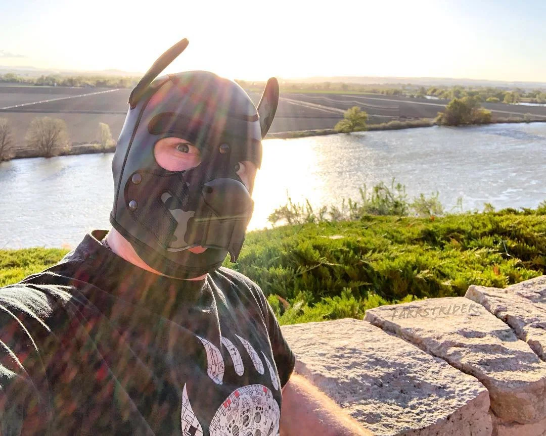 It's been a while — Pup Farrstrider