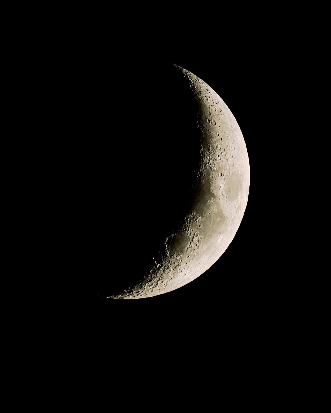 53449775320_e9d2846686_o.jpg