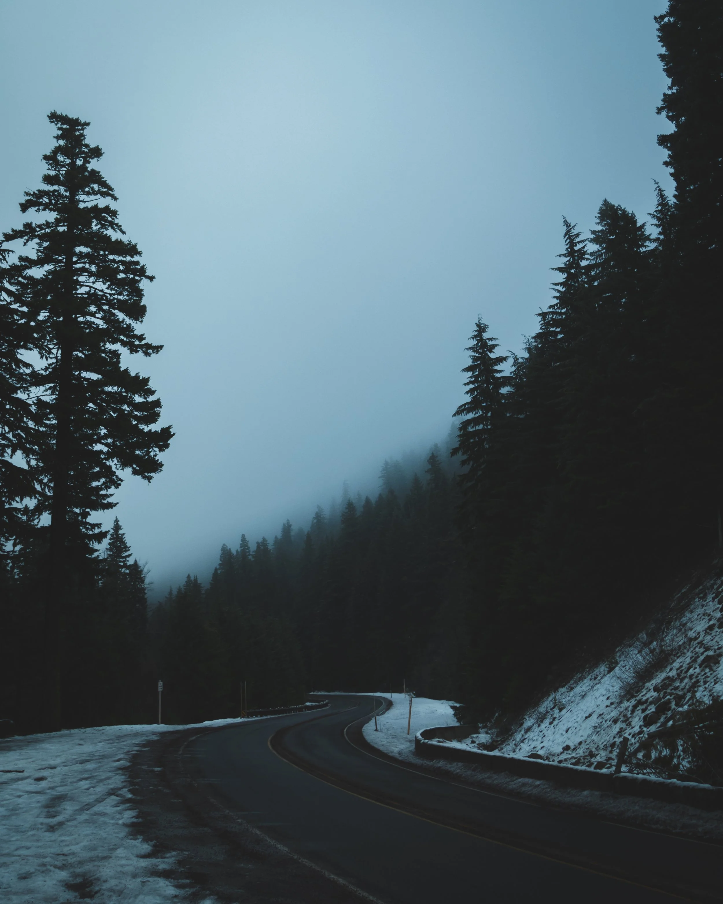 _B8A1511-2.jpg