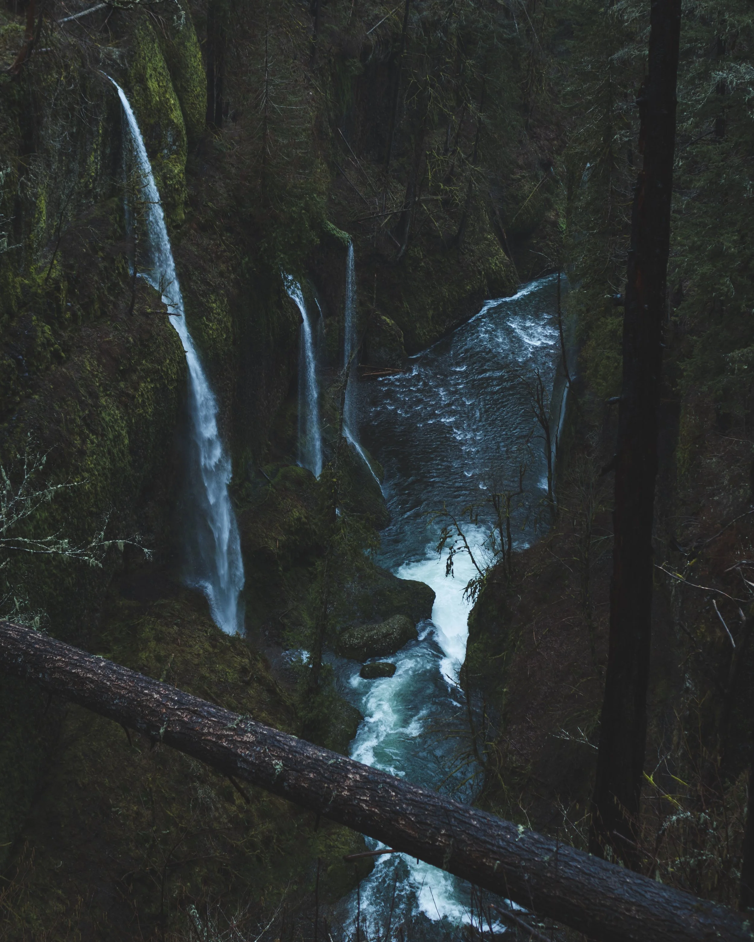 _B8A6328.jpg