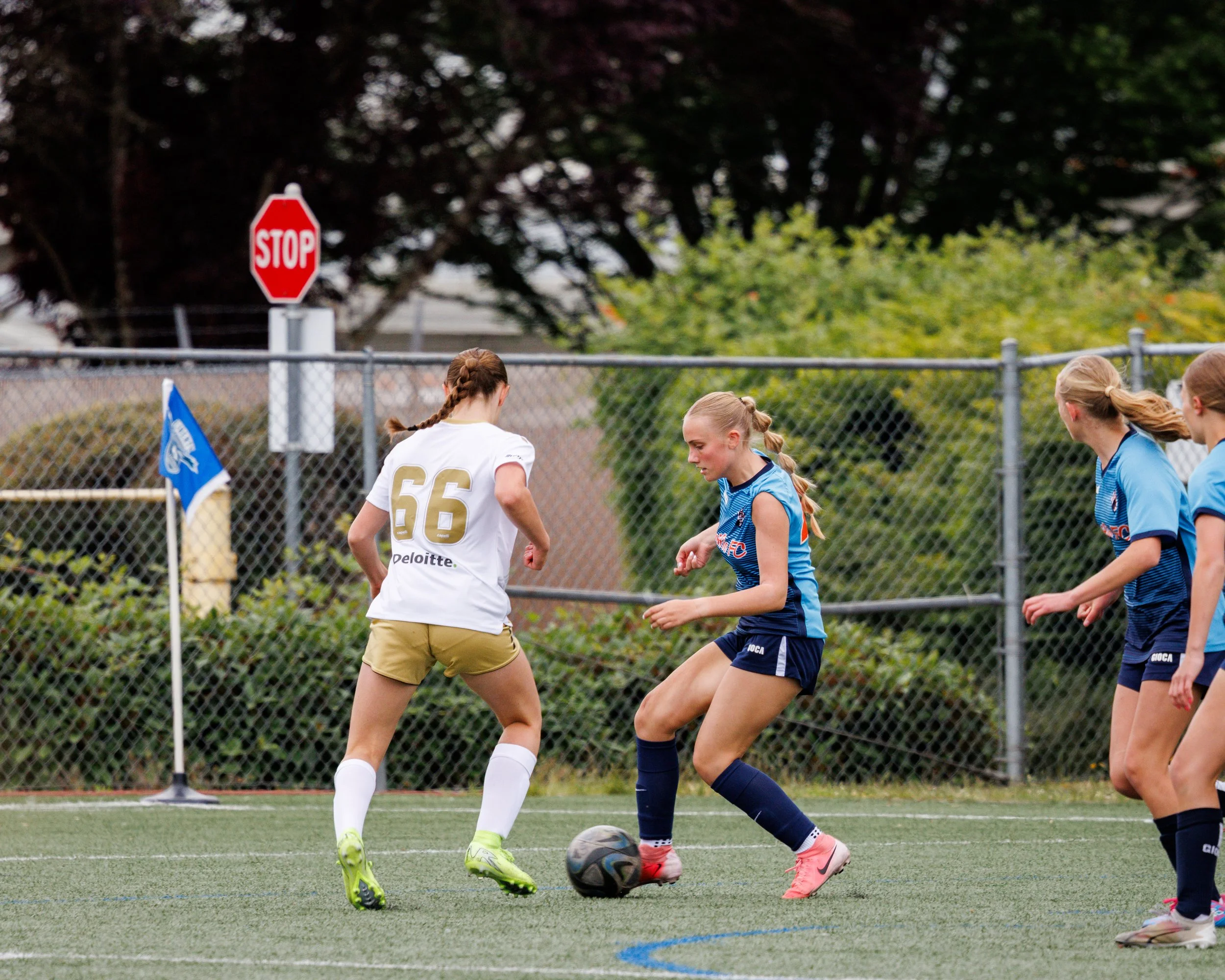 _W6A5570-2.jpg