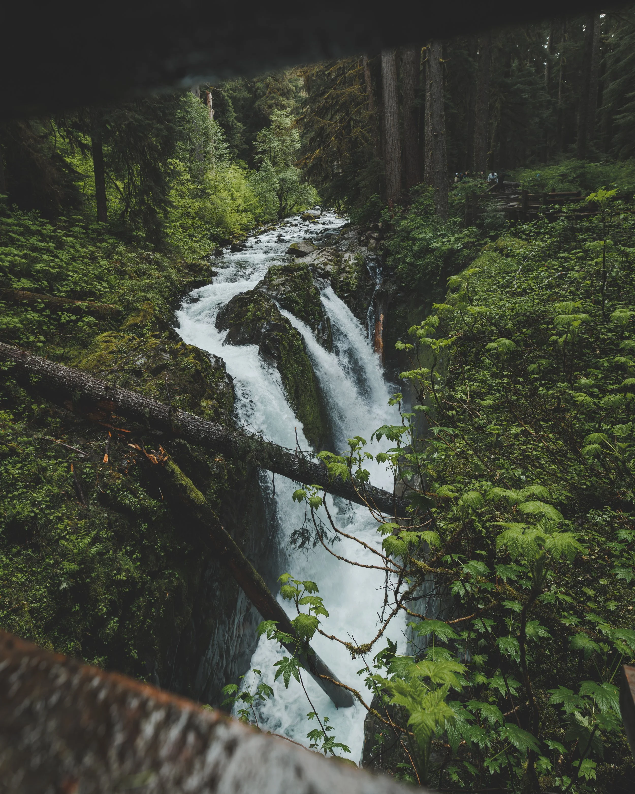_23A5146.jpg