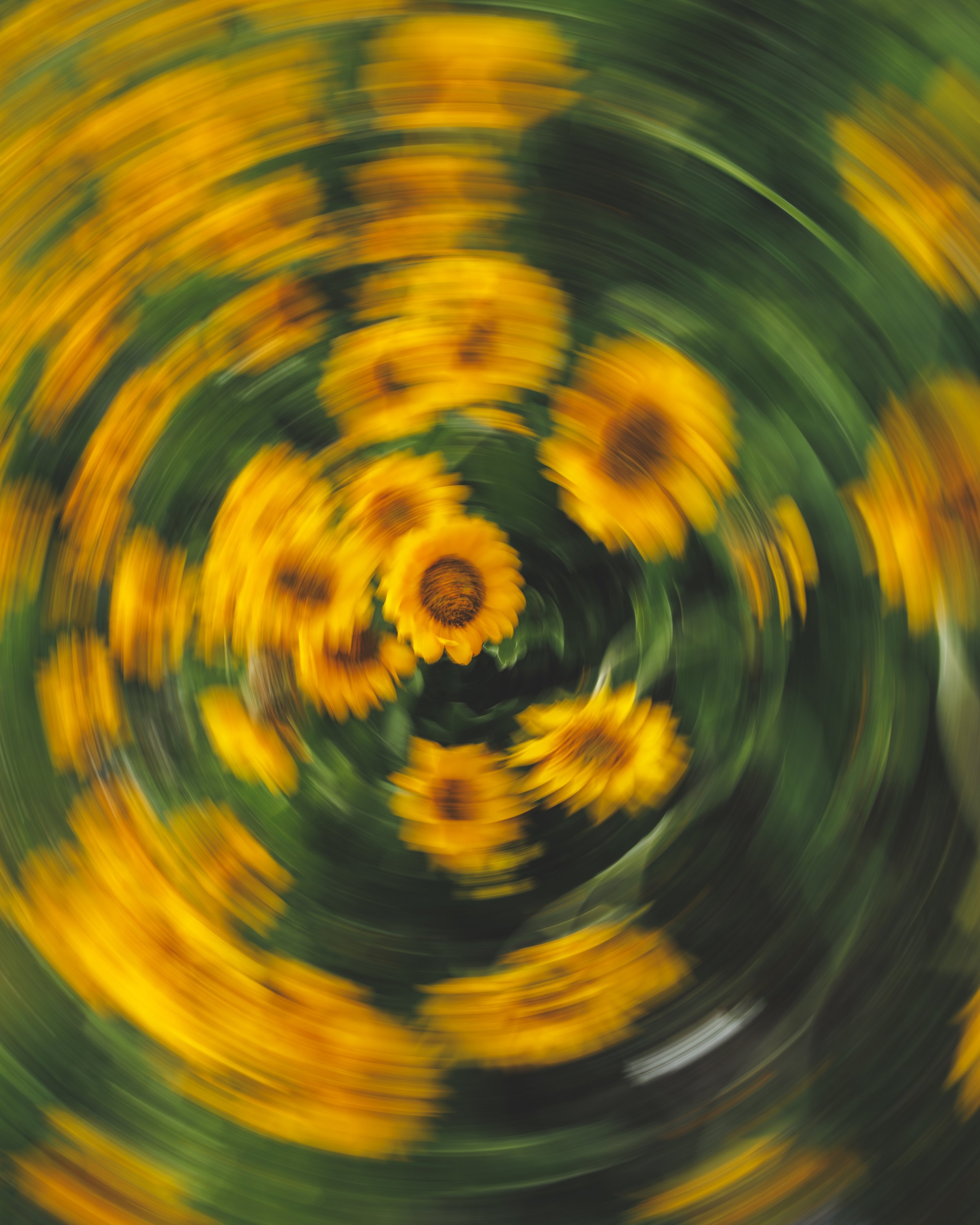 _23A5316.jpg