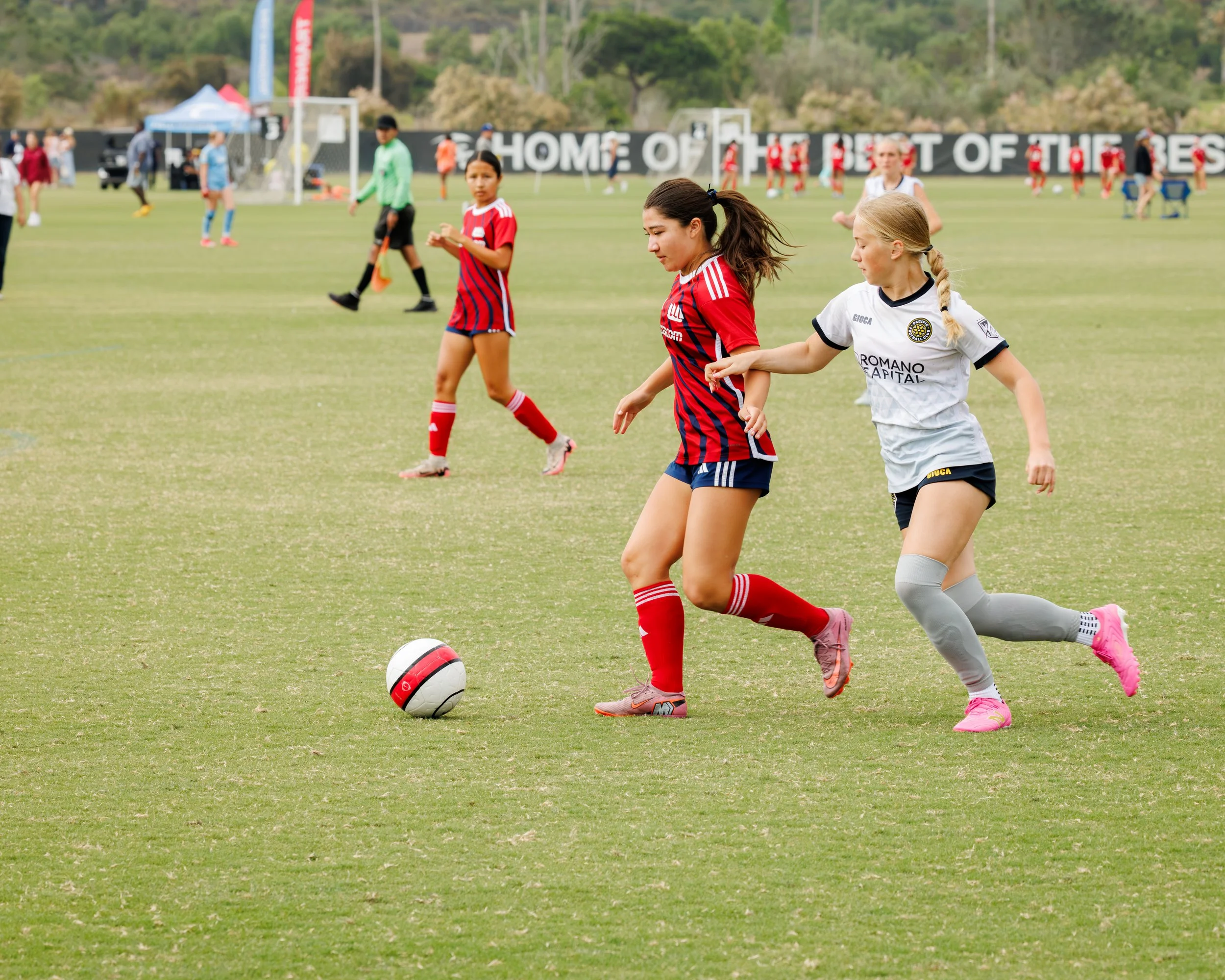 _23A8670.jpg