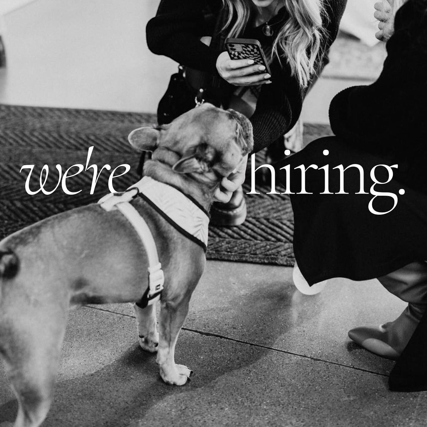 💓 W E &lsquo; R E  H I R I N G 💓

we&rsquo;re looking for another front desk coordinator to join our team and help kenny greet our lovely clients! 💫🐶🪩

if you are someone looking to dip your toes into the hair industry or love supporting others 