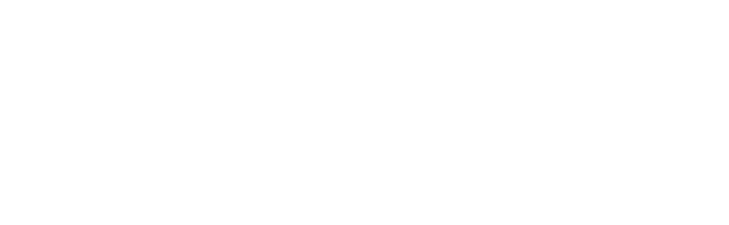 logo white.png