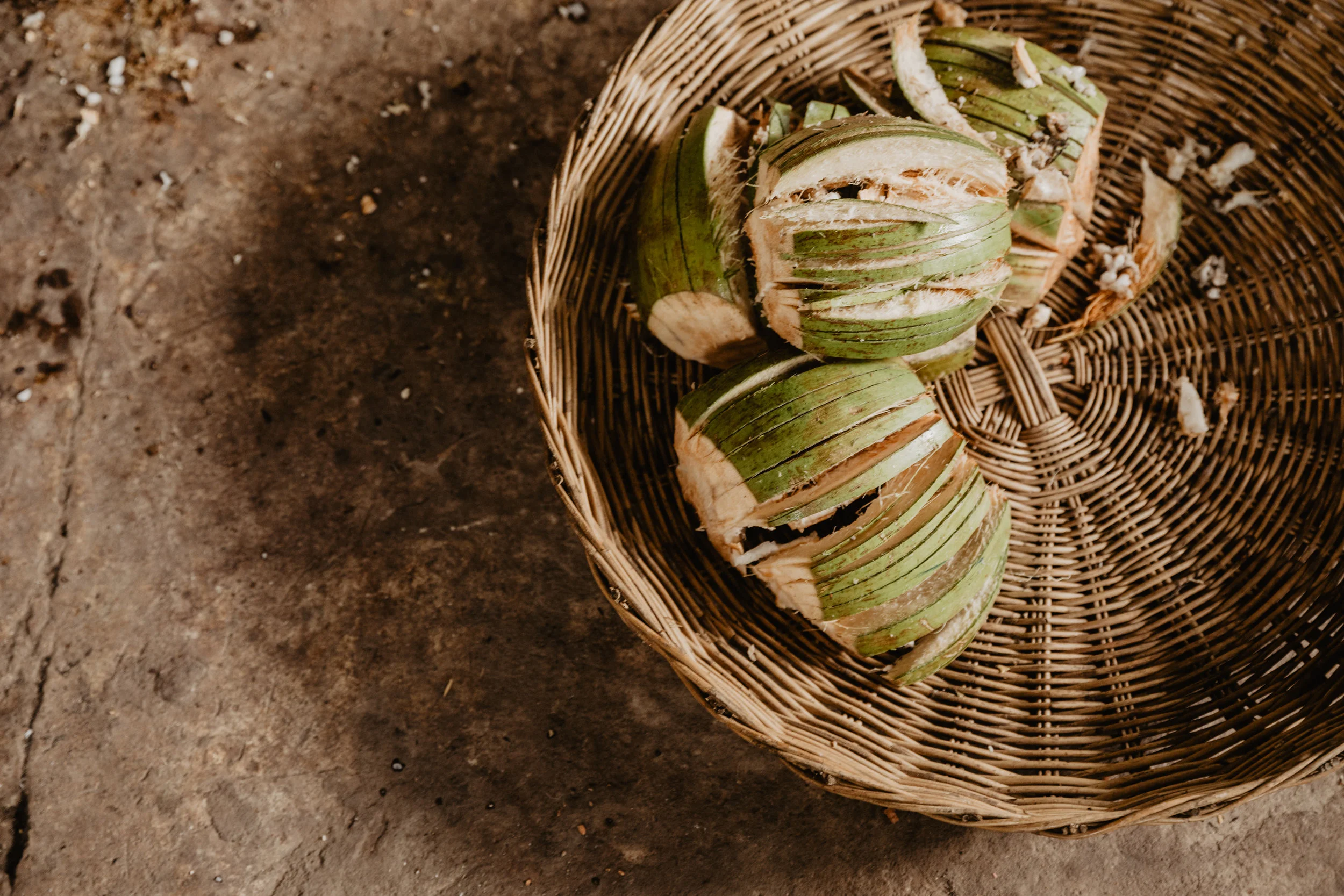 Coconuts Collective HUmanity Dyeing.jpg