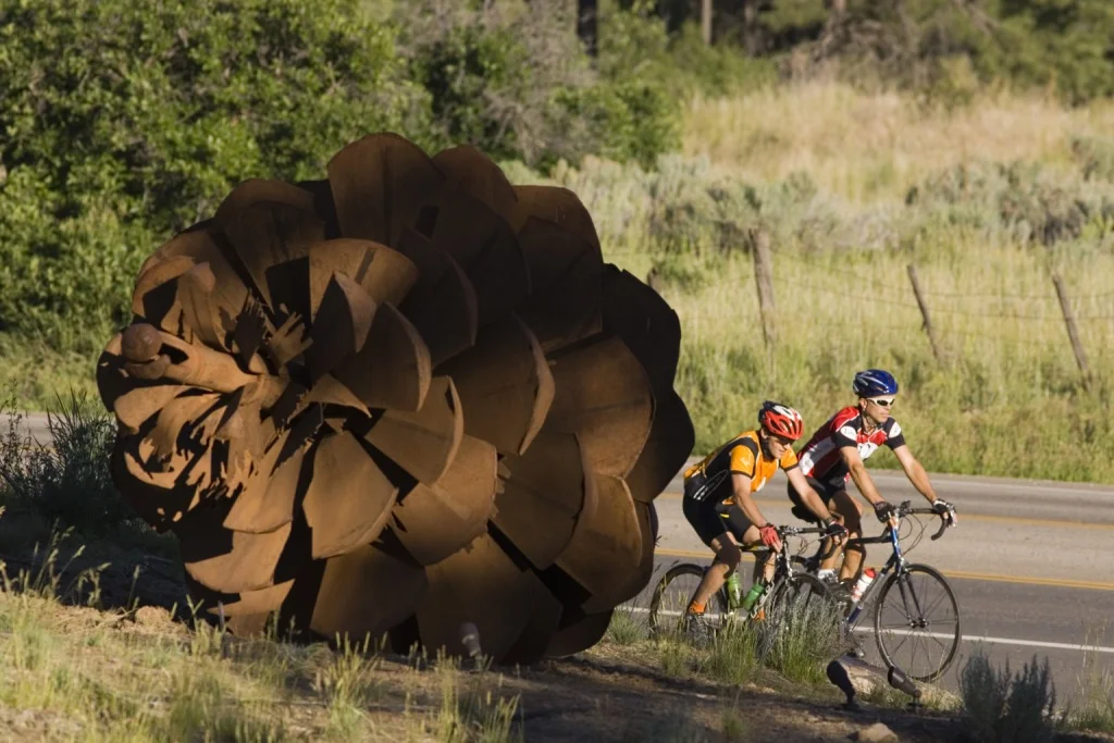 PineConeBikers.jpg