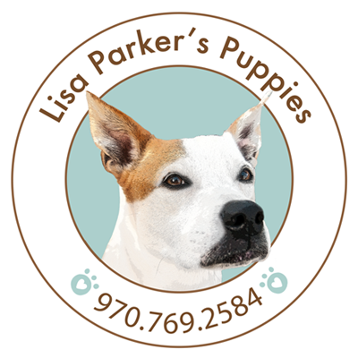 LPPLogo.png