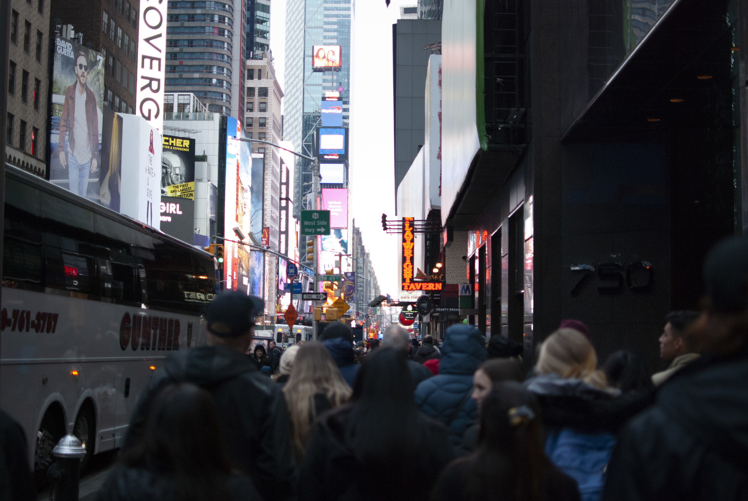 DSC_0104.jpg