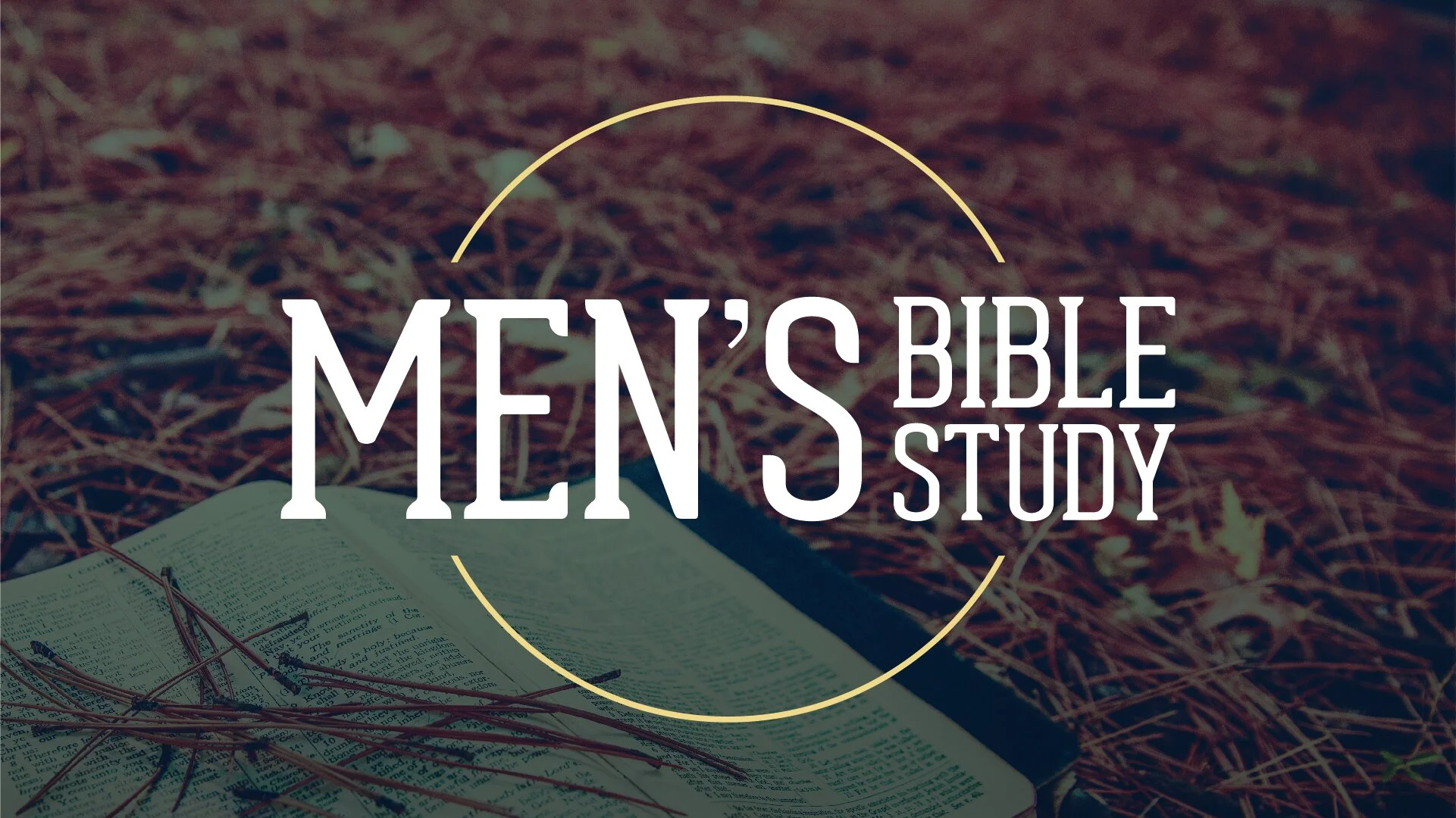 33 Men’S Bible Study – Digging Deep Bible Study for Men – SGDX