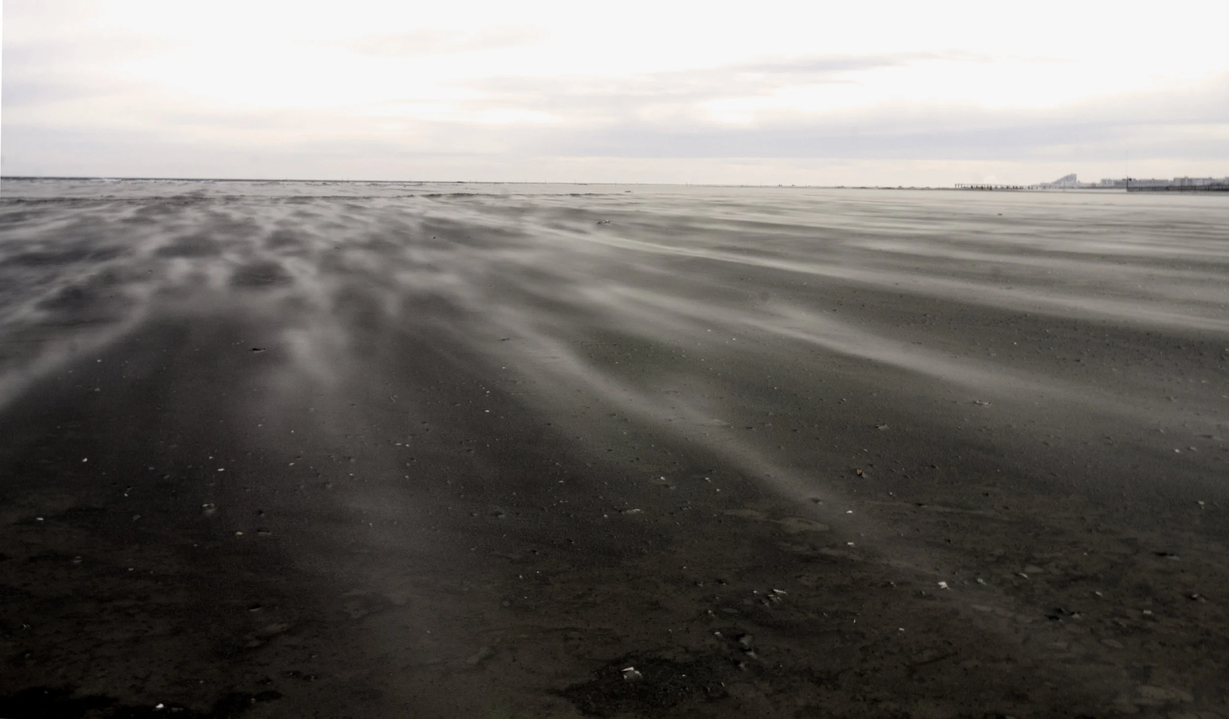 _MG_5647.jpg