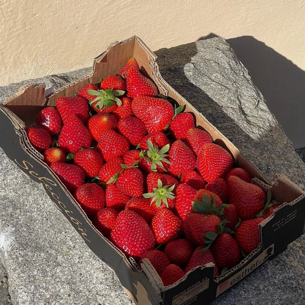 we&rsquo;re changing our diet this summer 👏 eating healthy can help you stay energized and active. a nutritious diet rich in fresh fruits, vegetables, protein, + whole grains can provide your body with the necessary nutrients and fuel to keep you en