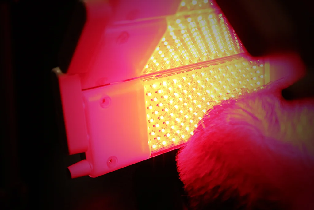 LASER TREATMENT LLLT(Low Level Laser Therapy) is known as effective treatment for hair regrowth, skin regeneration and restoration of various damages. FDA approved Laser device is being used for all clients' treatment.