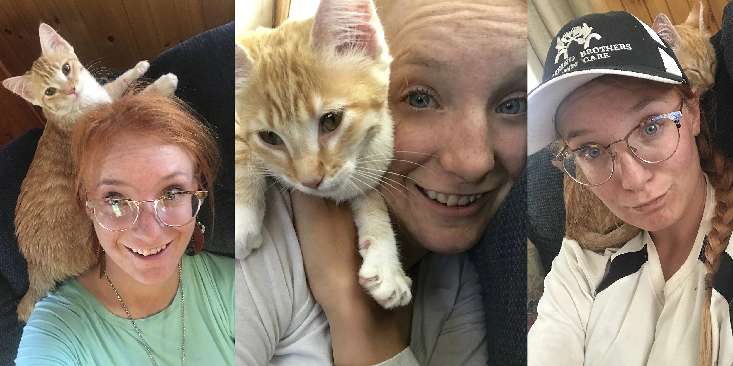 Cat on head.jpg