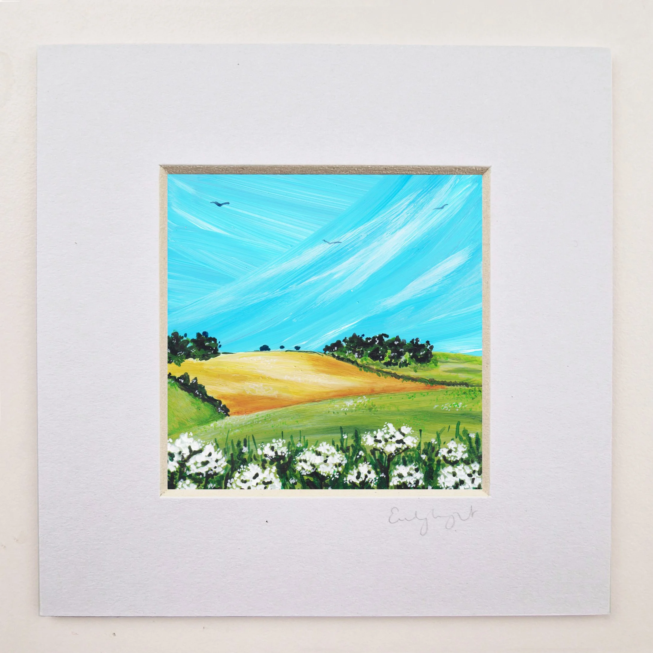 Country Fields 6.jpg